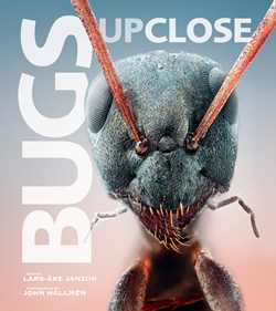Bugs Up Close