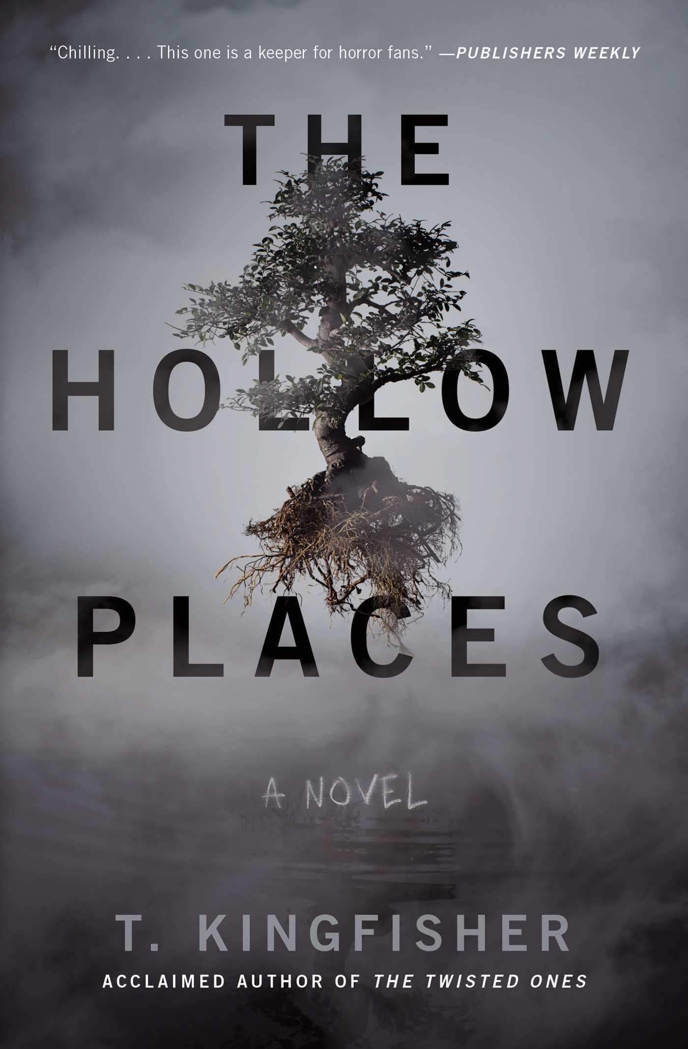 Hollow Places: A Novel