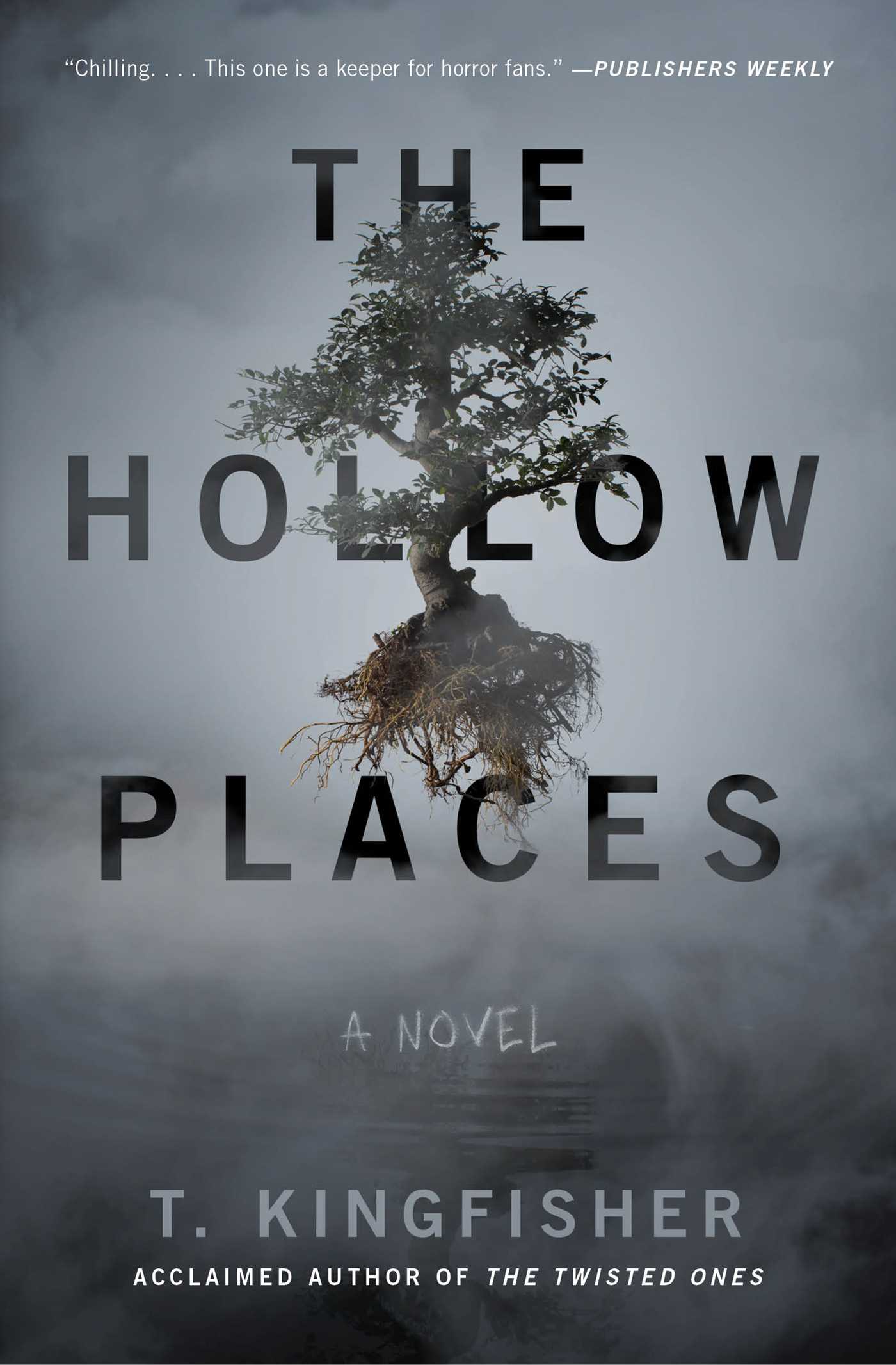 Hollow Places: A Novel
