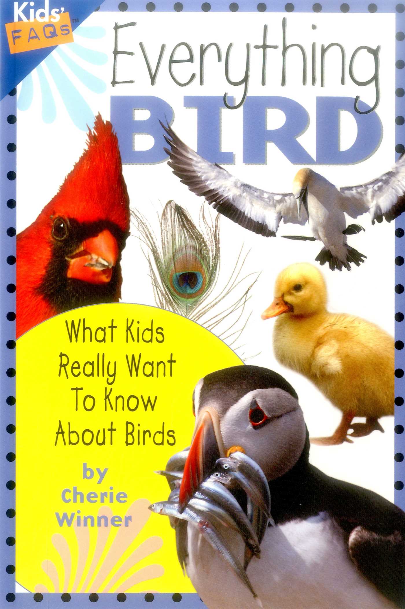 Everything Bird