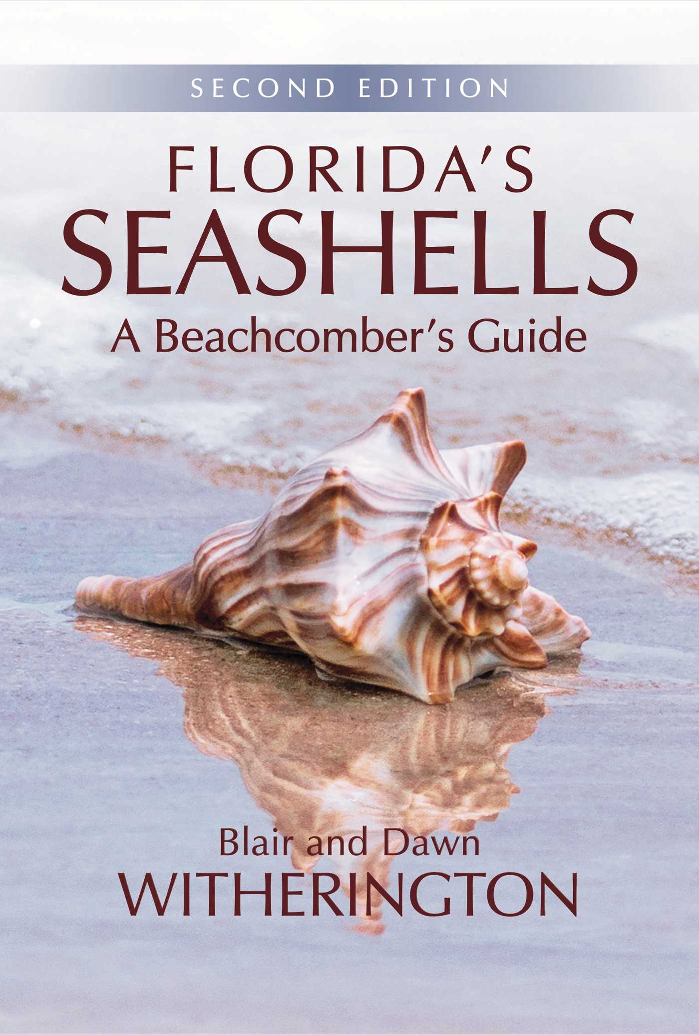 Florida's Seashells