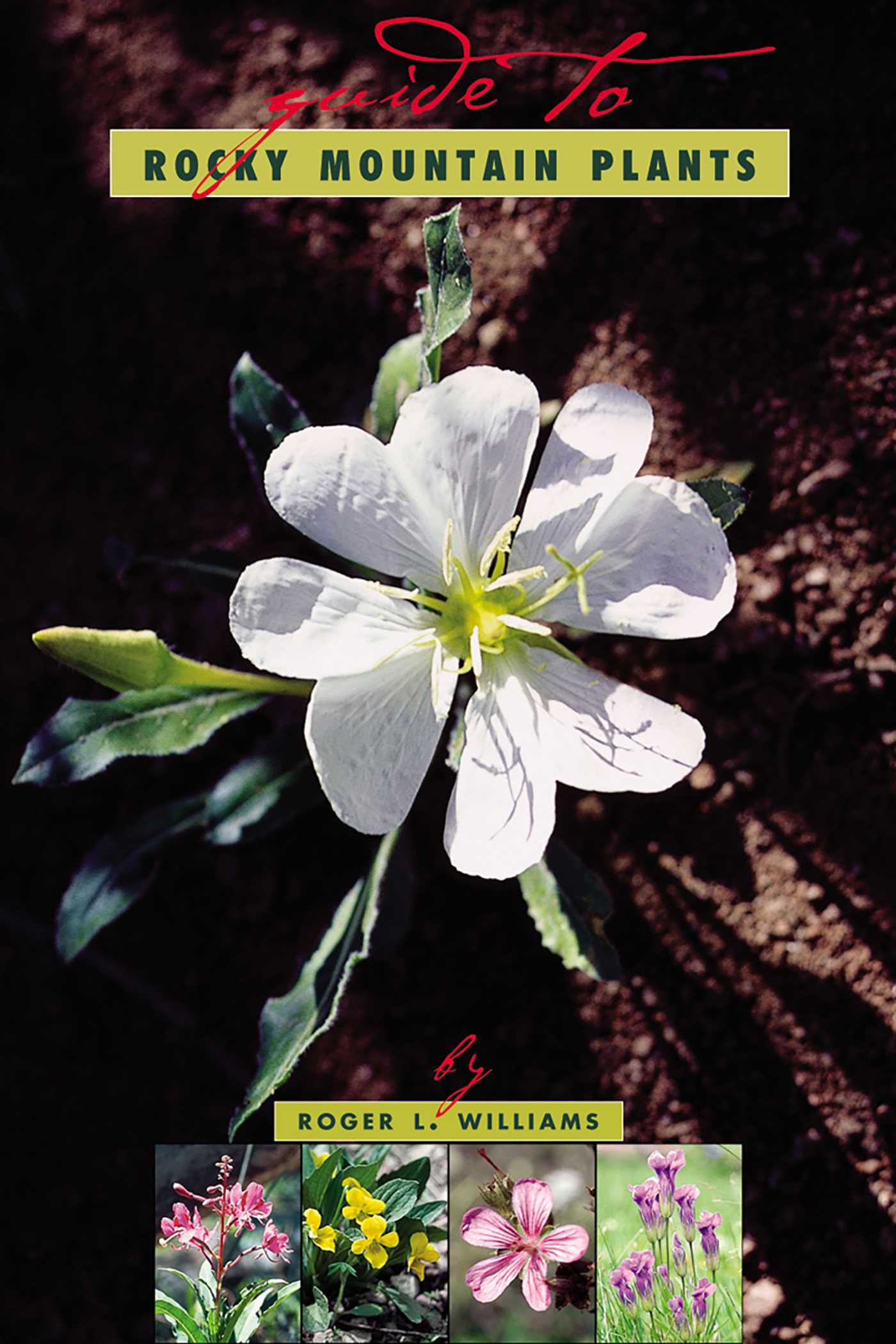 Guide To Rocky Mountain Plants, Revised