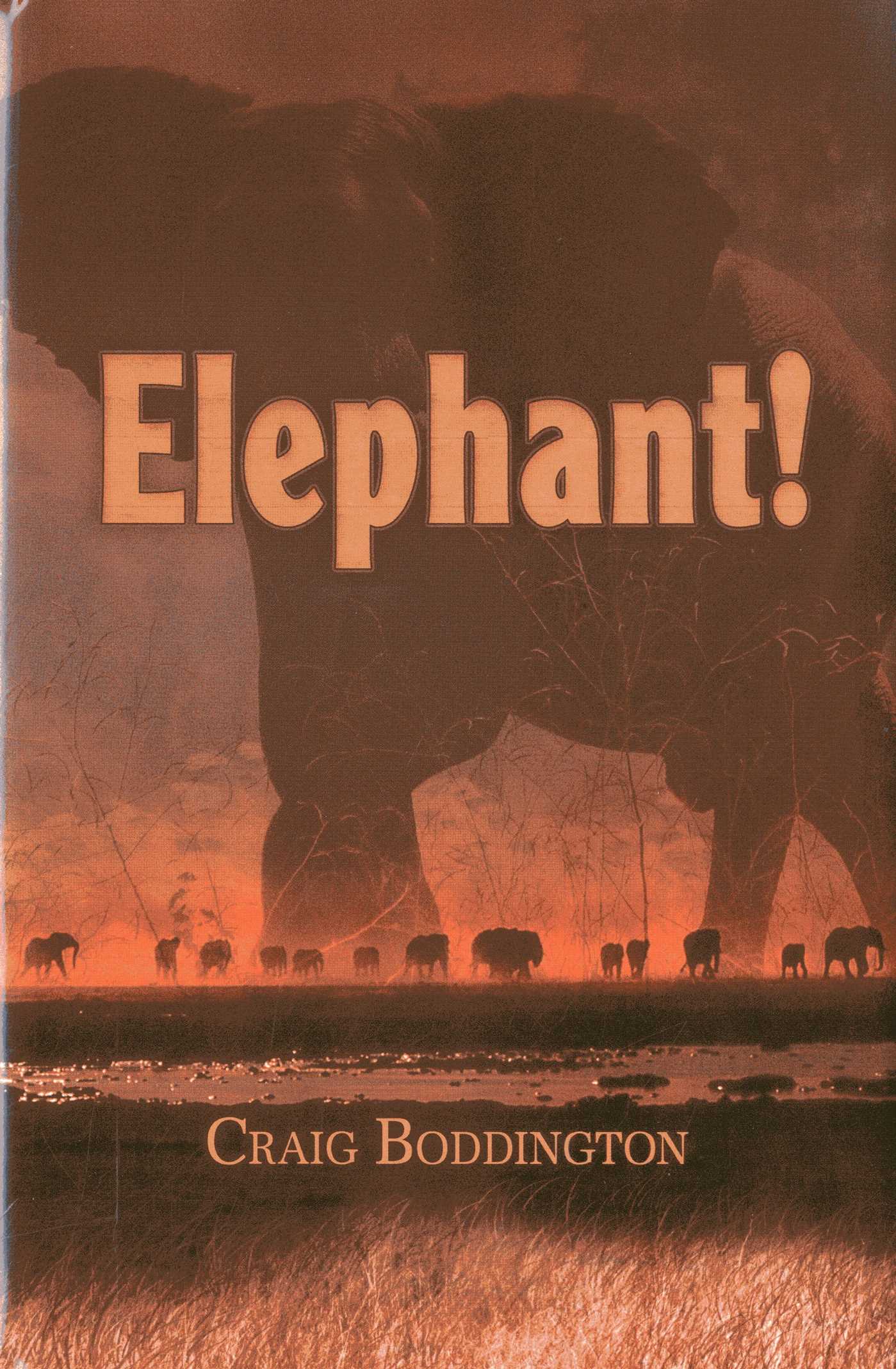 Elephant!