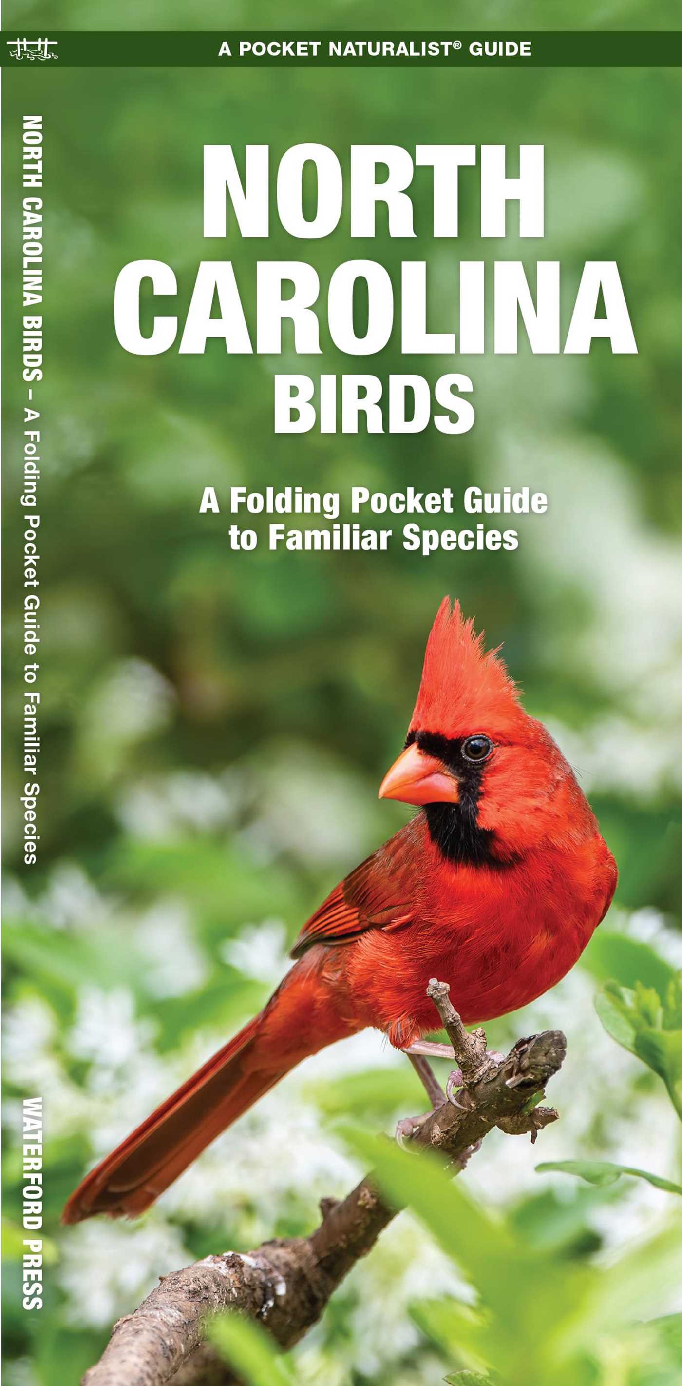 North Carolina Birds