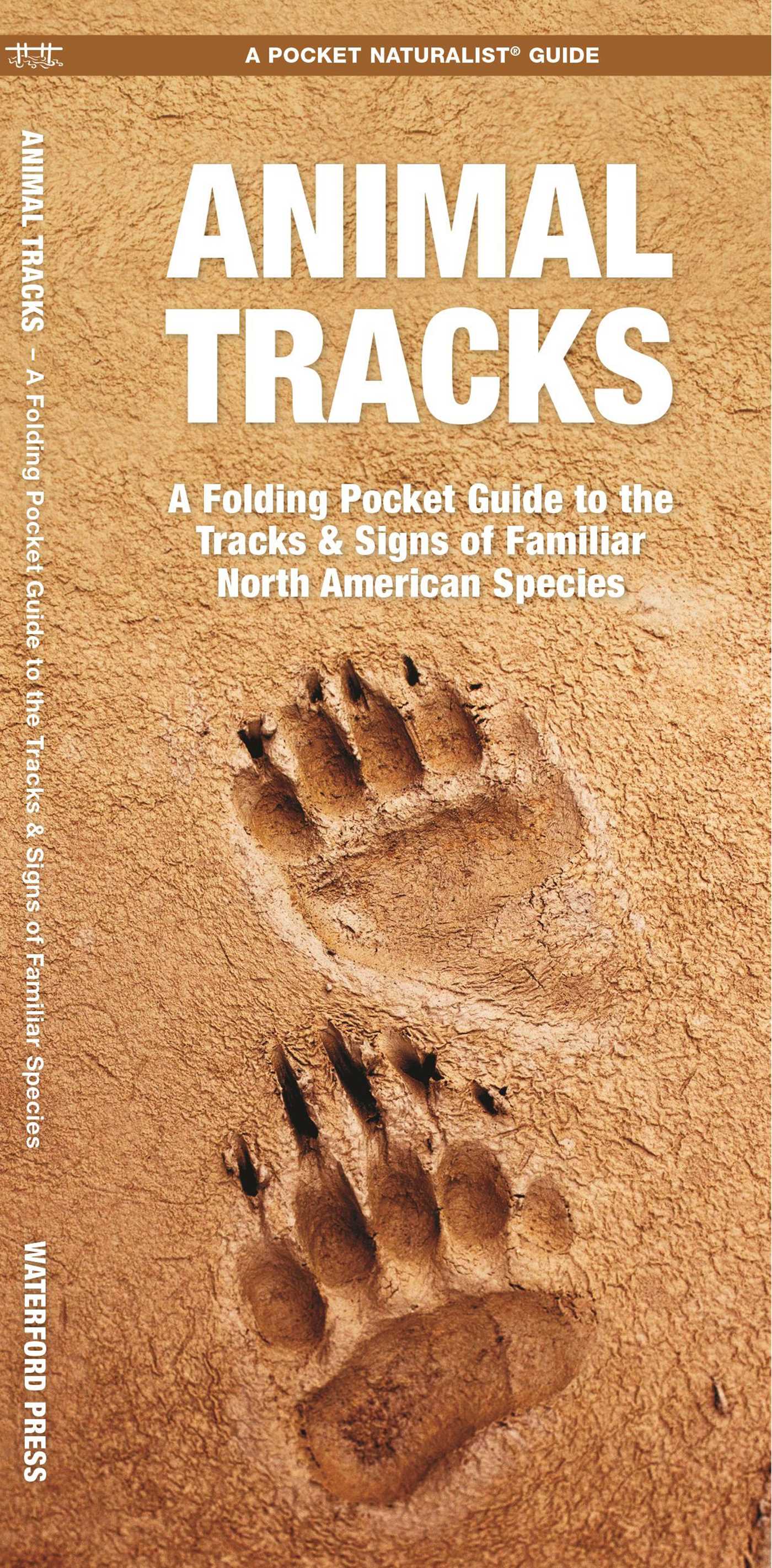 Animal Tracks