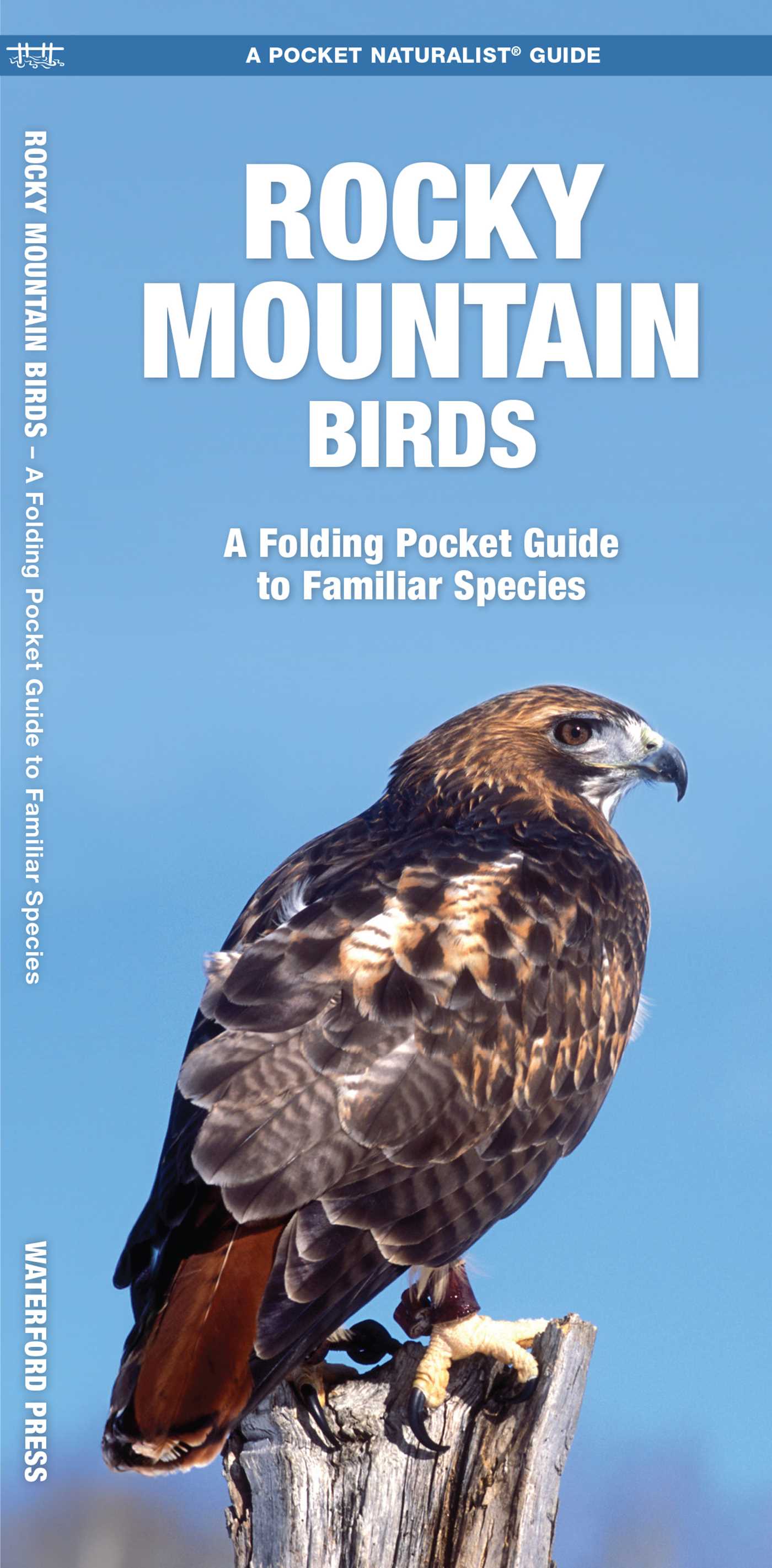 Rocky Mountain Birds