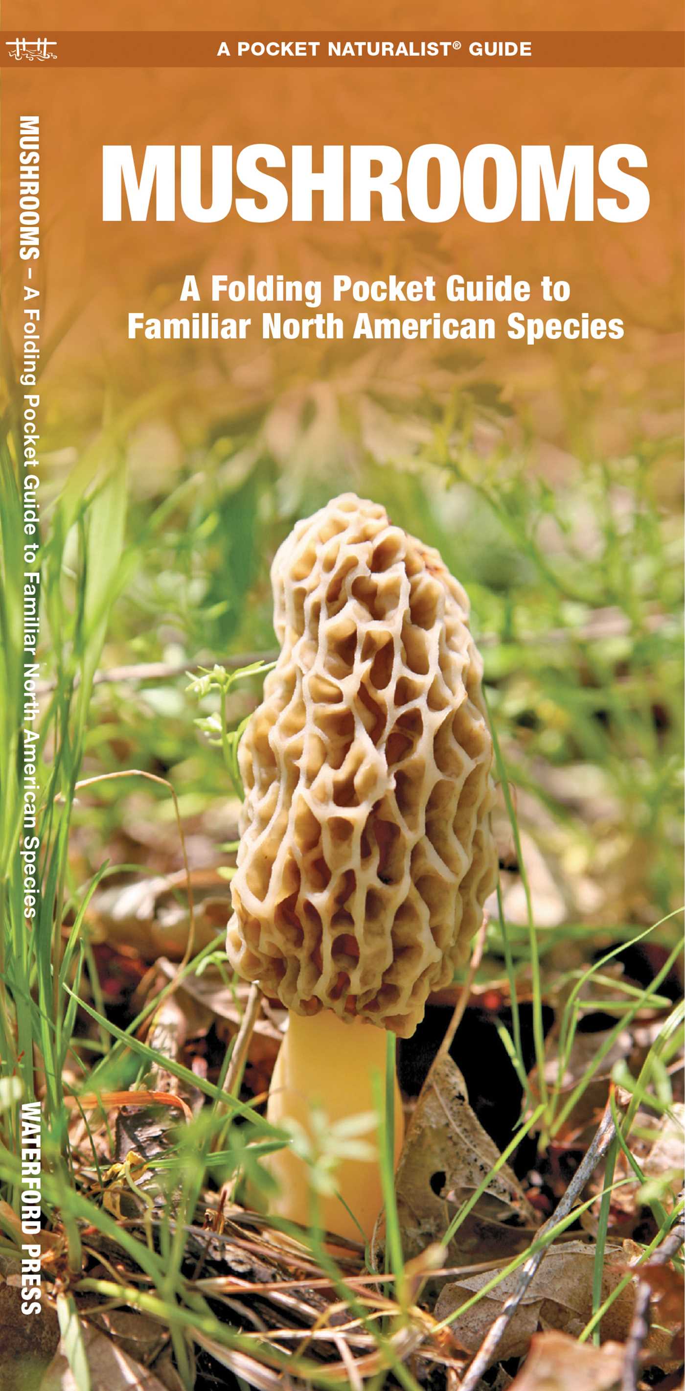 Mushrooms
