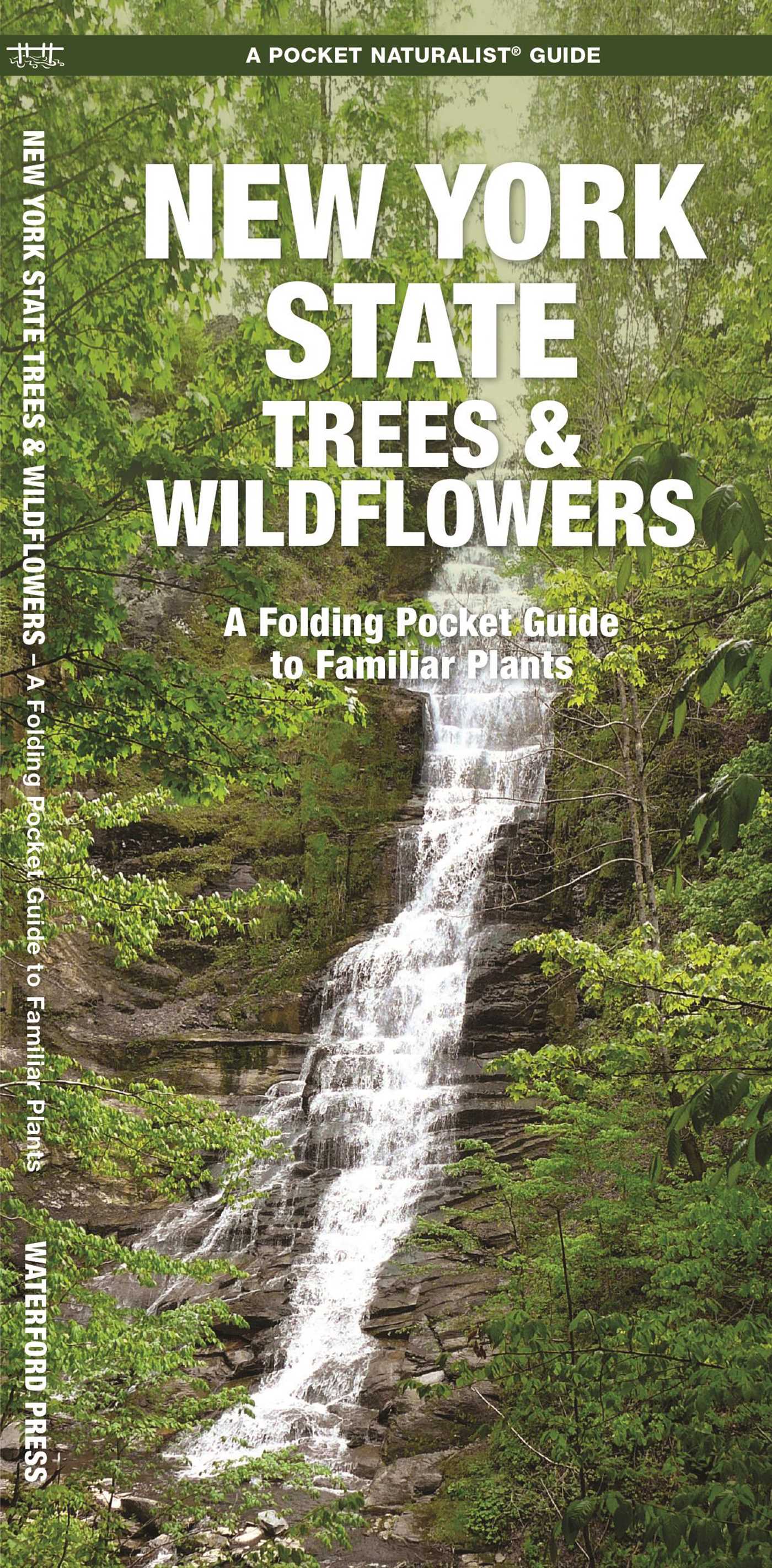 New York State Trees & Wildflowers