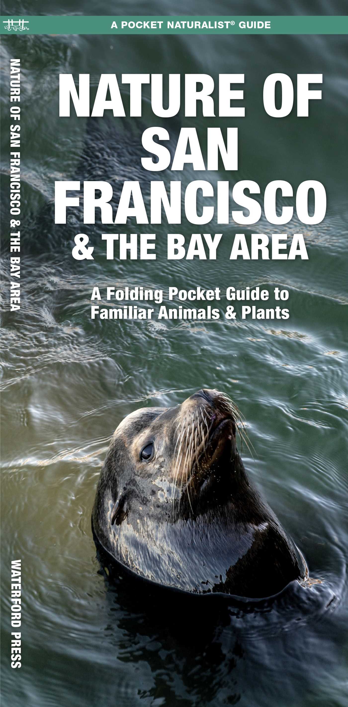San Francisco & the Bay Area, Nature of