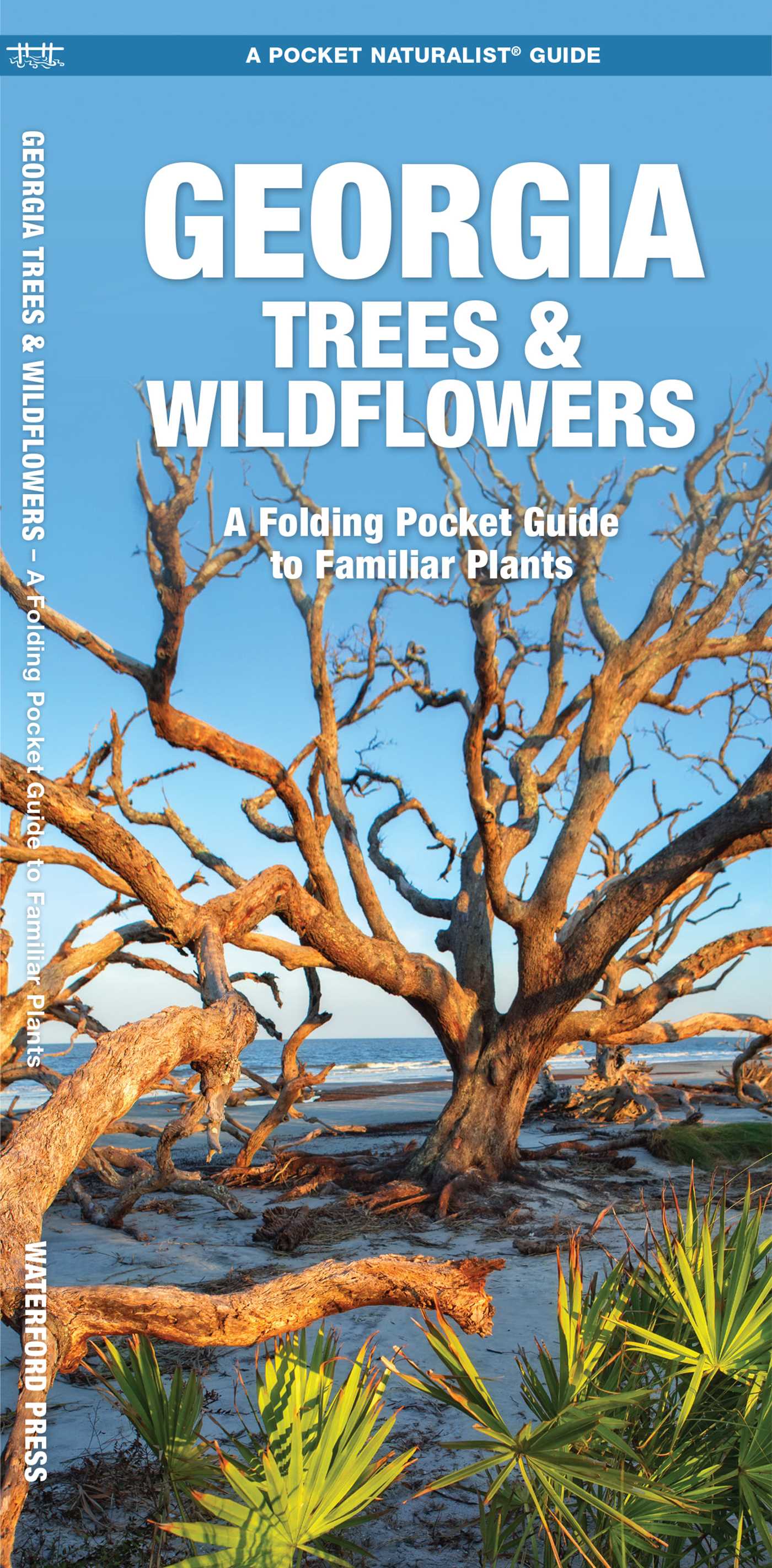 Georgia Trees & Wildflowers