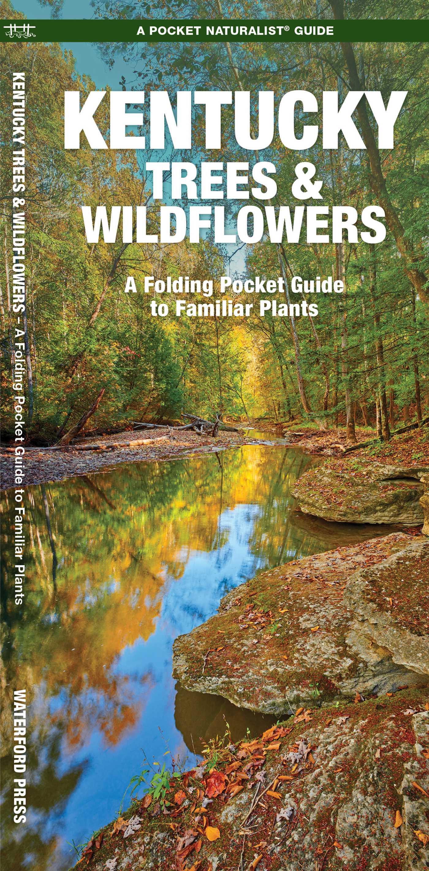 Kentucky Trees & Wildflowers