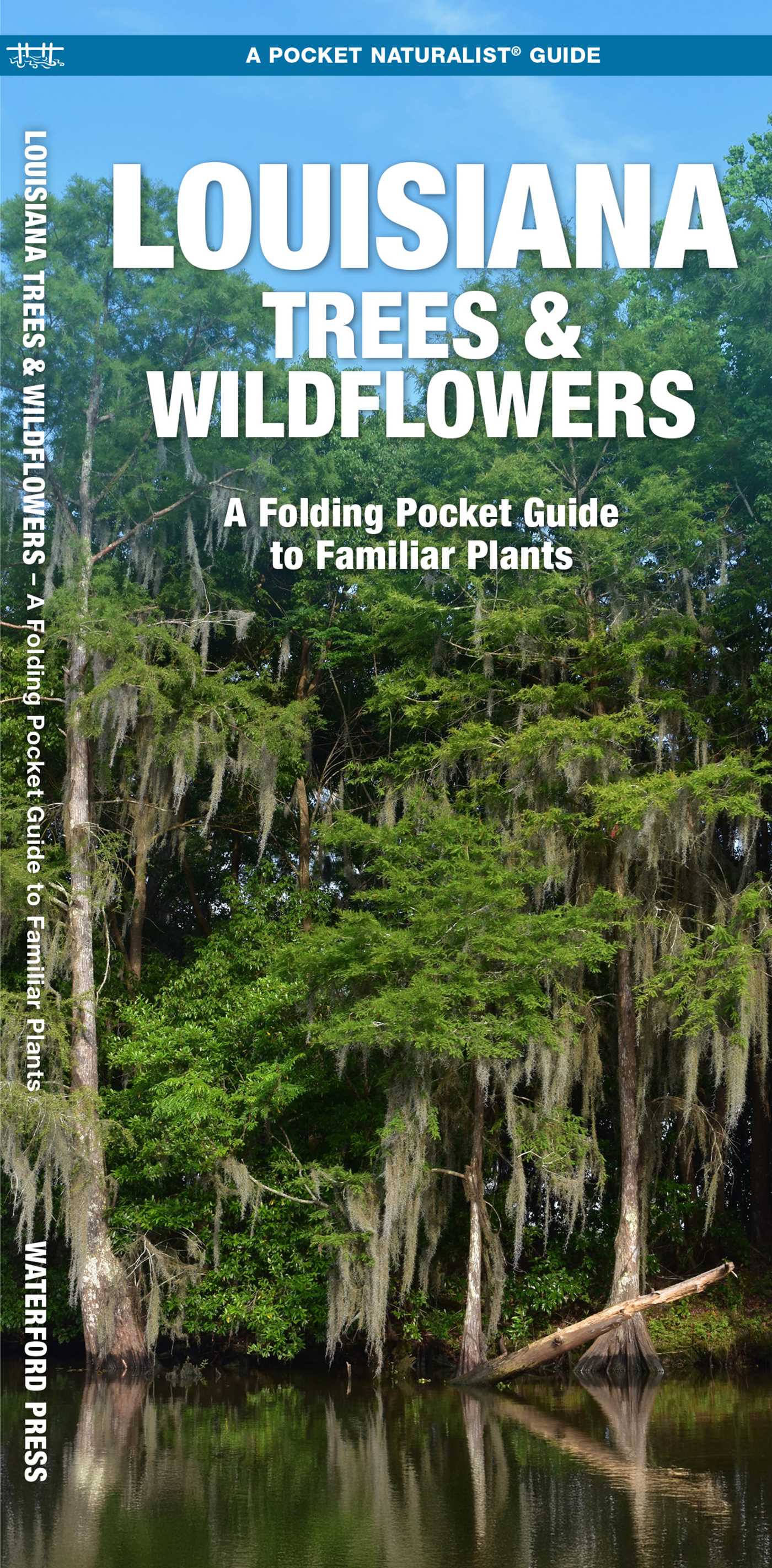 Louisiana Trees & Wildflowers