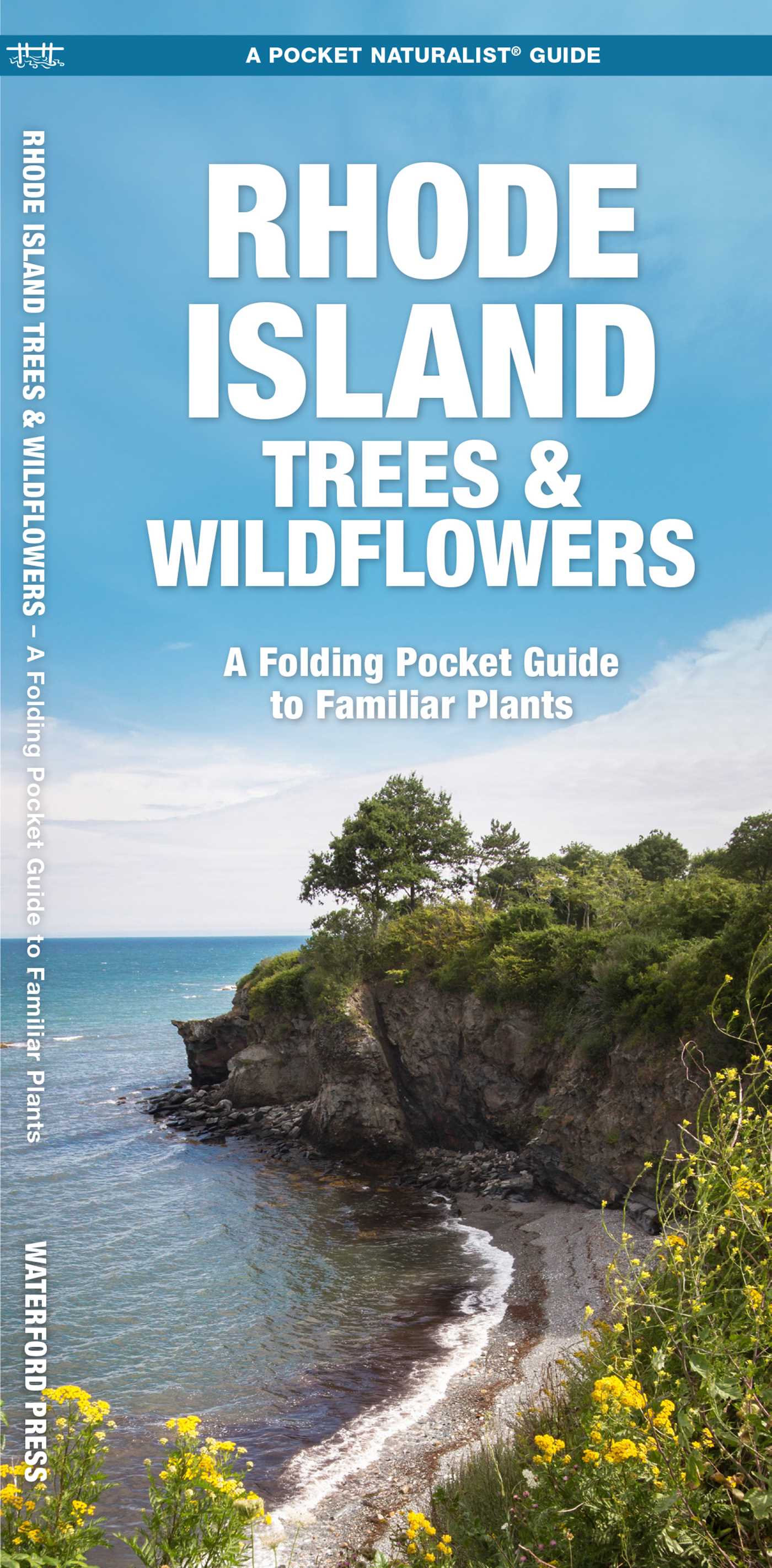 Rhode Island Trees & Wildflowers
