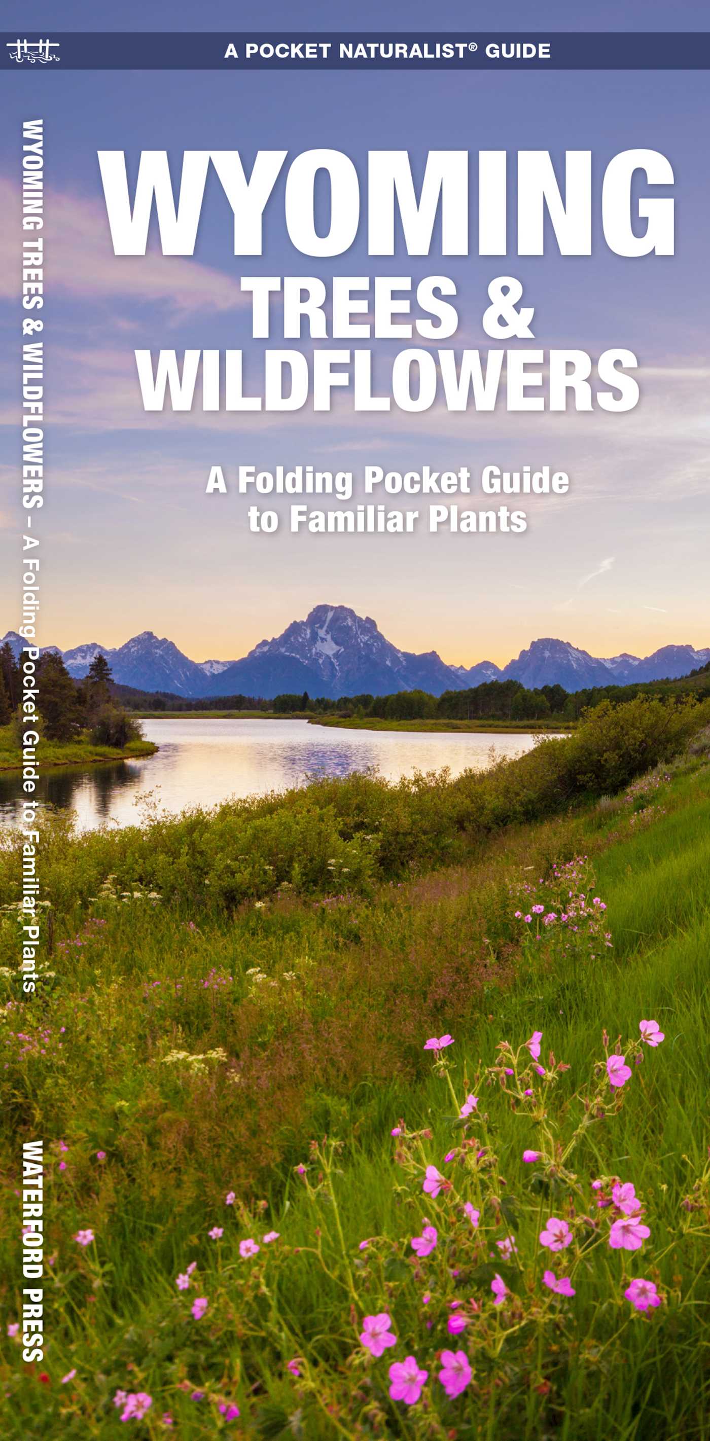 Wyoming Trees & Wildflowers