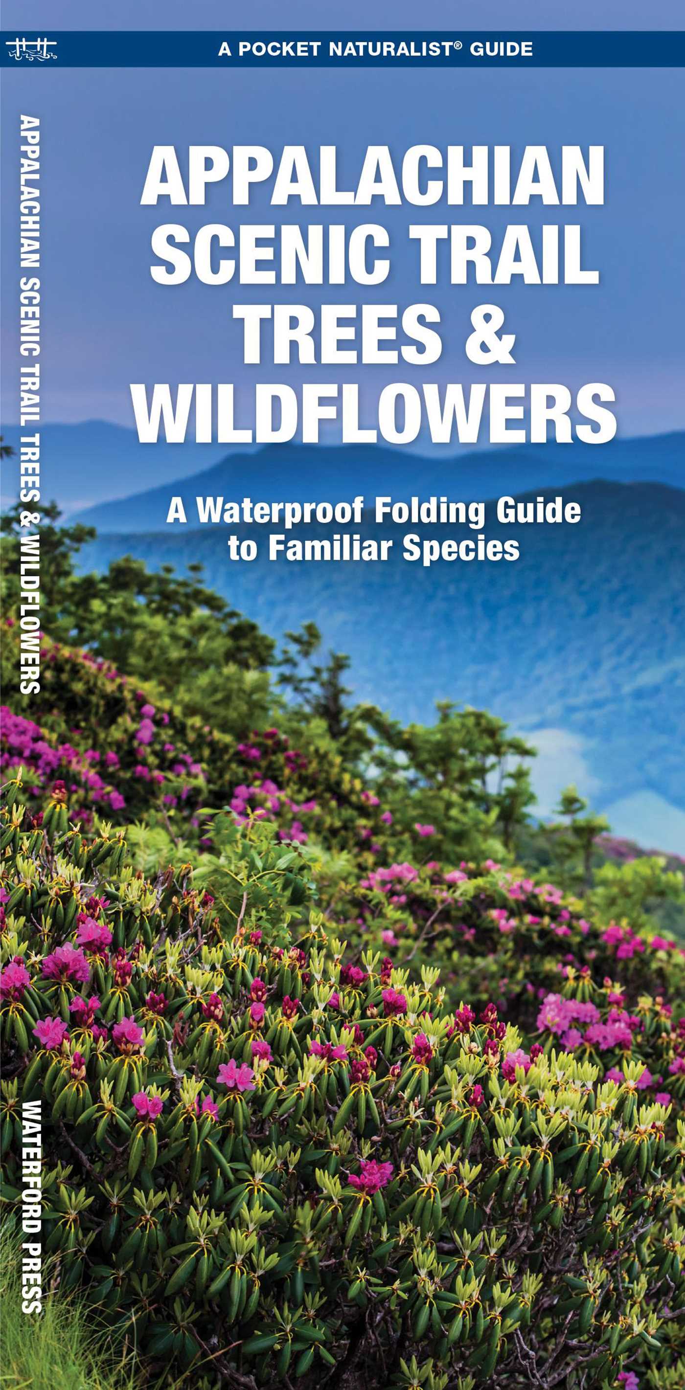 Appalachian Scenic Trail Trees & Wildflowers
