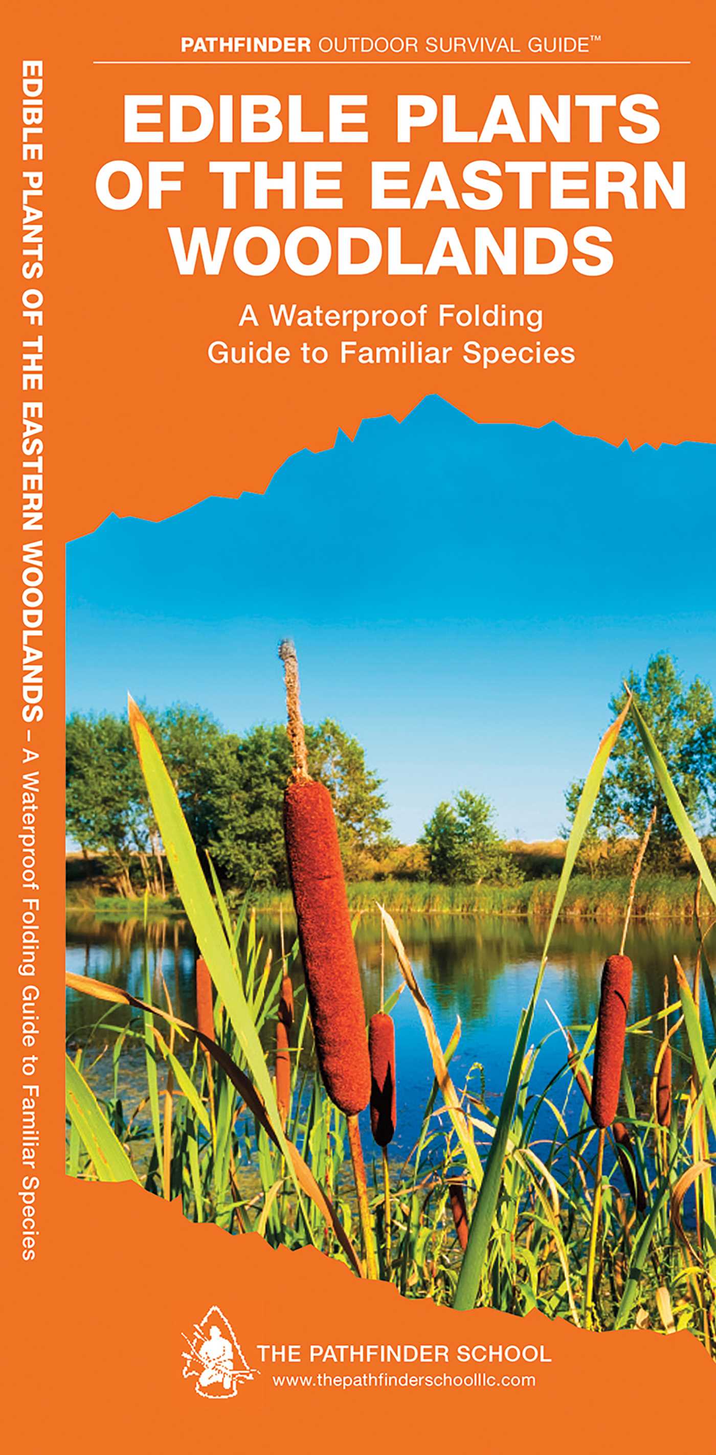 Edible Plants of the Eastern Woodlands
