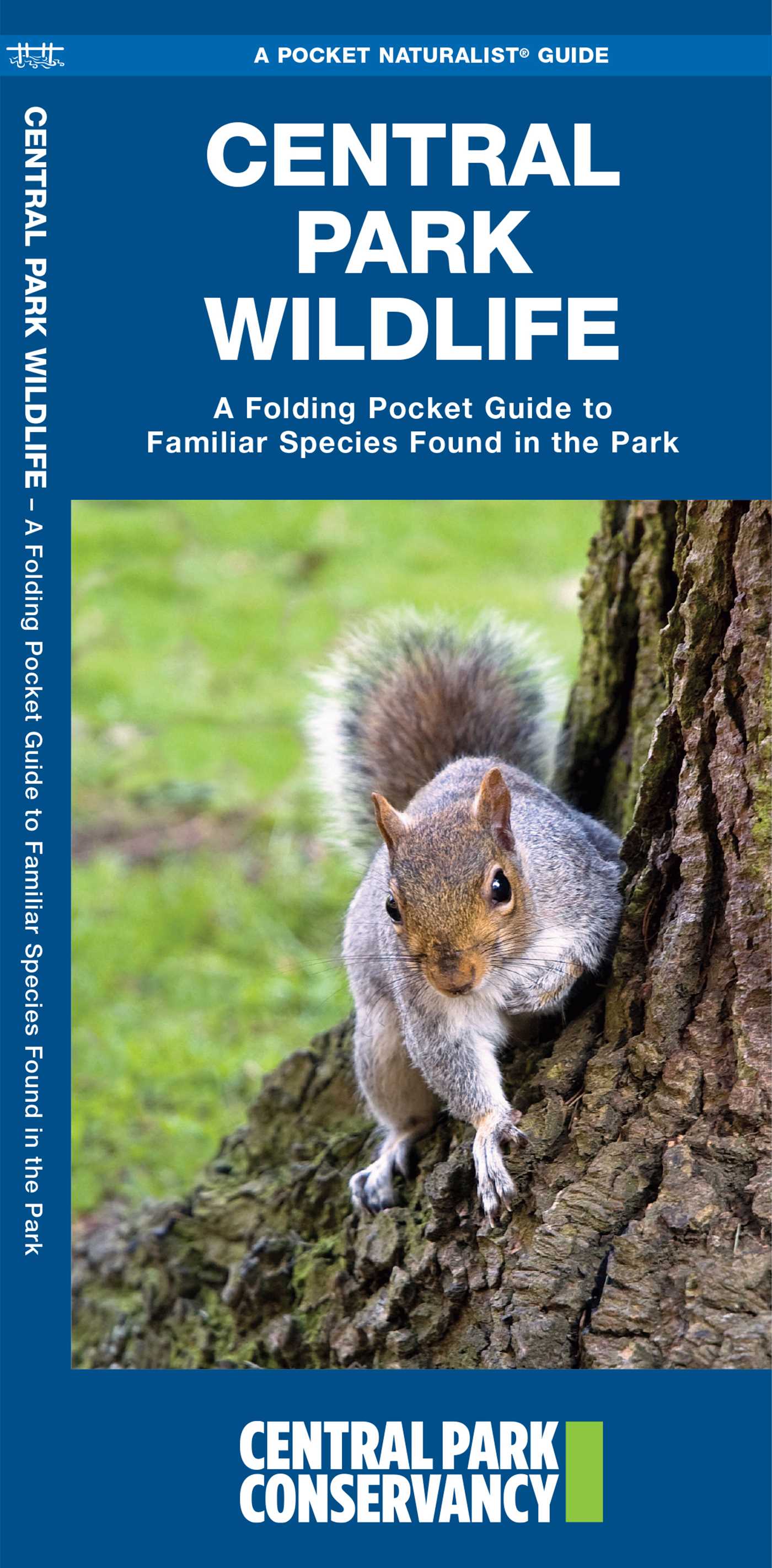Central Park Wildlife, 2nd Ed