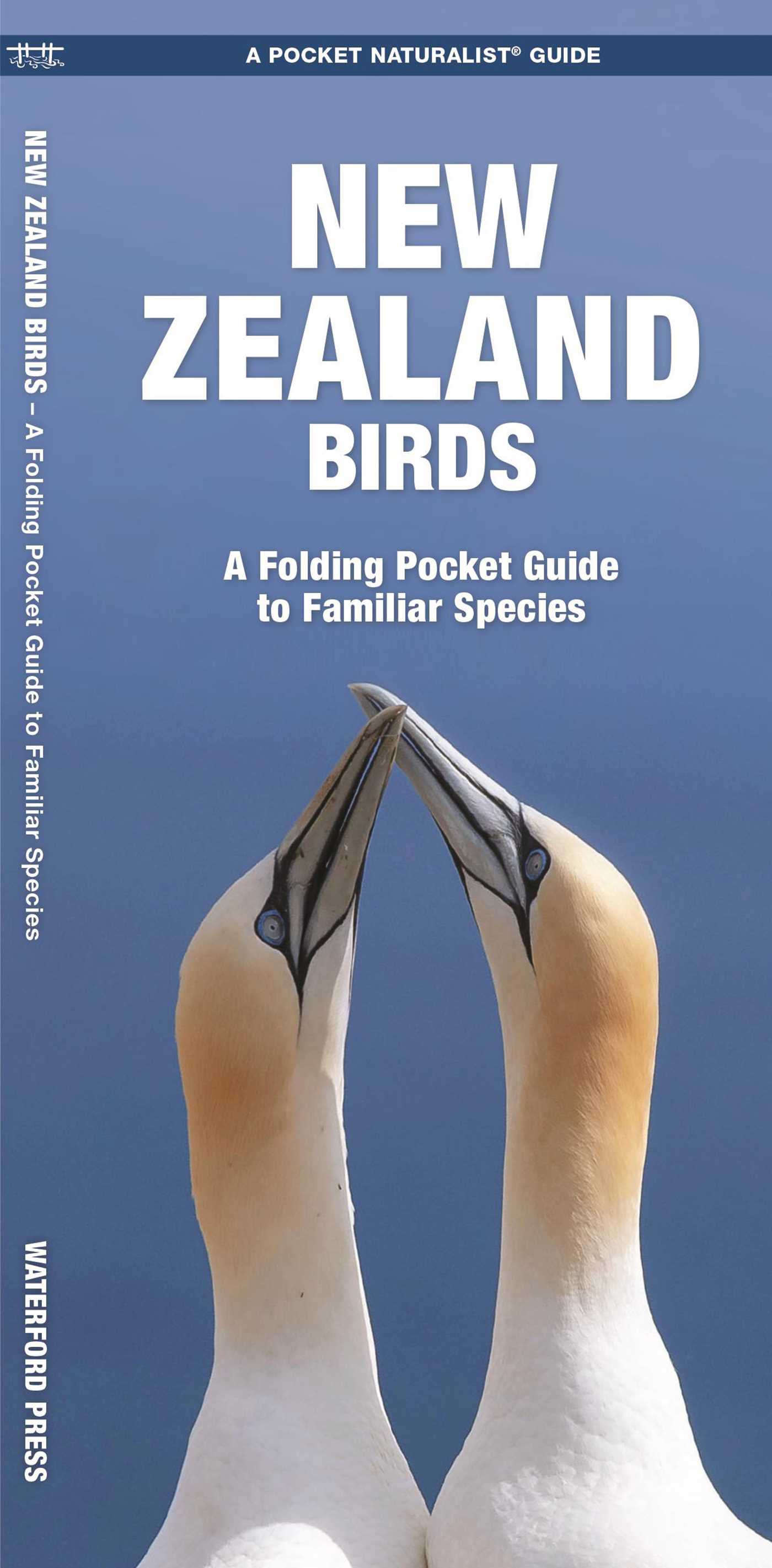 New Zealand Birds