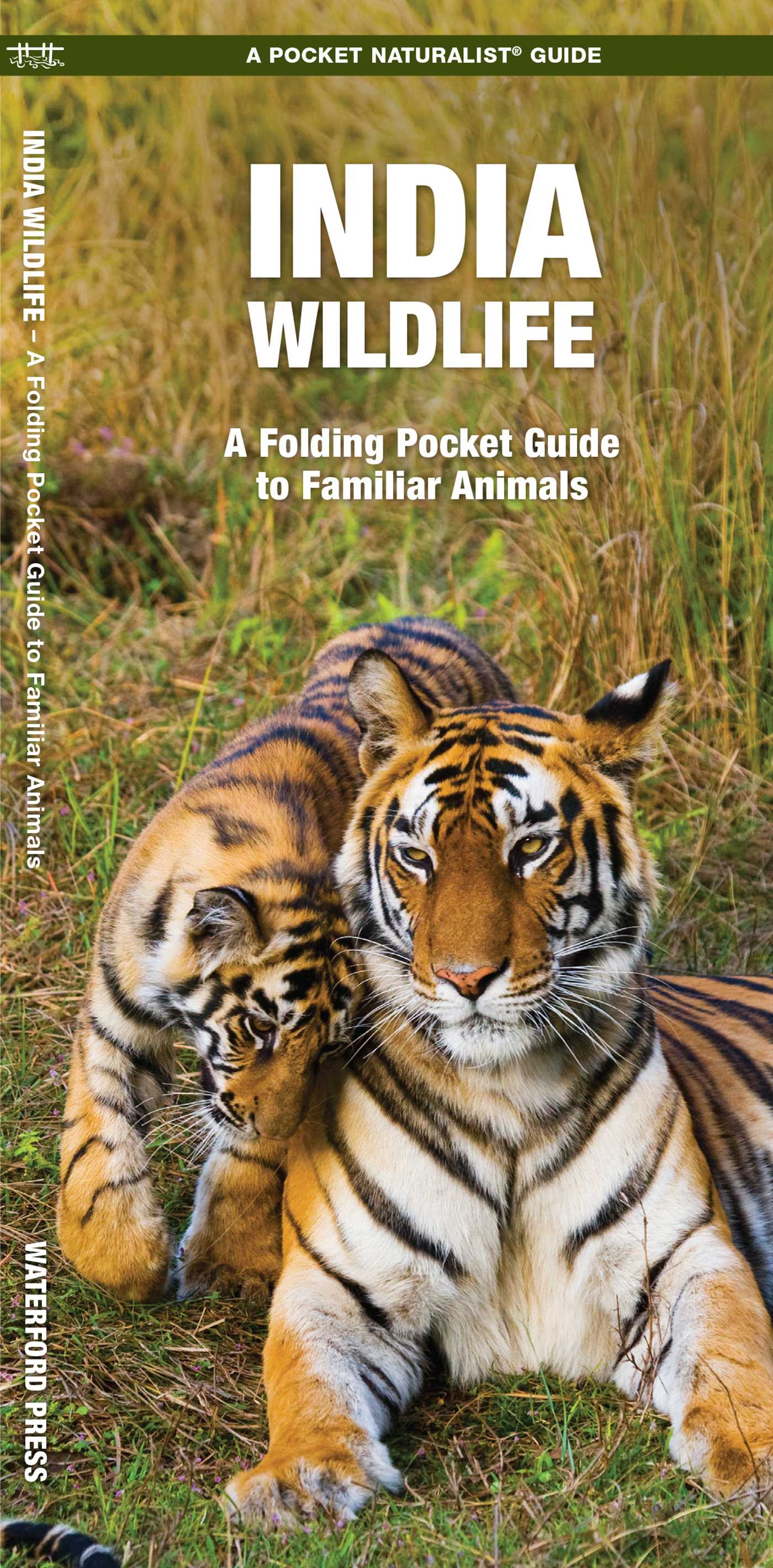 India Wildlife