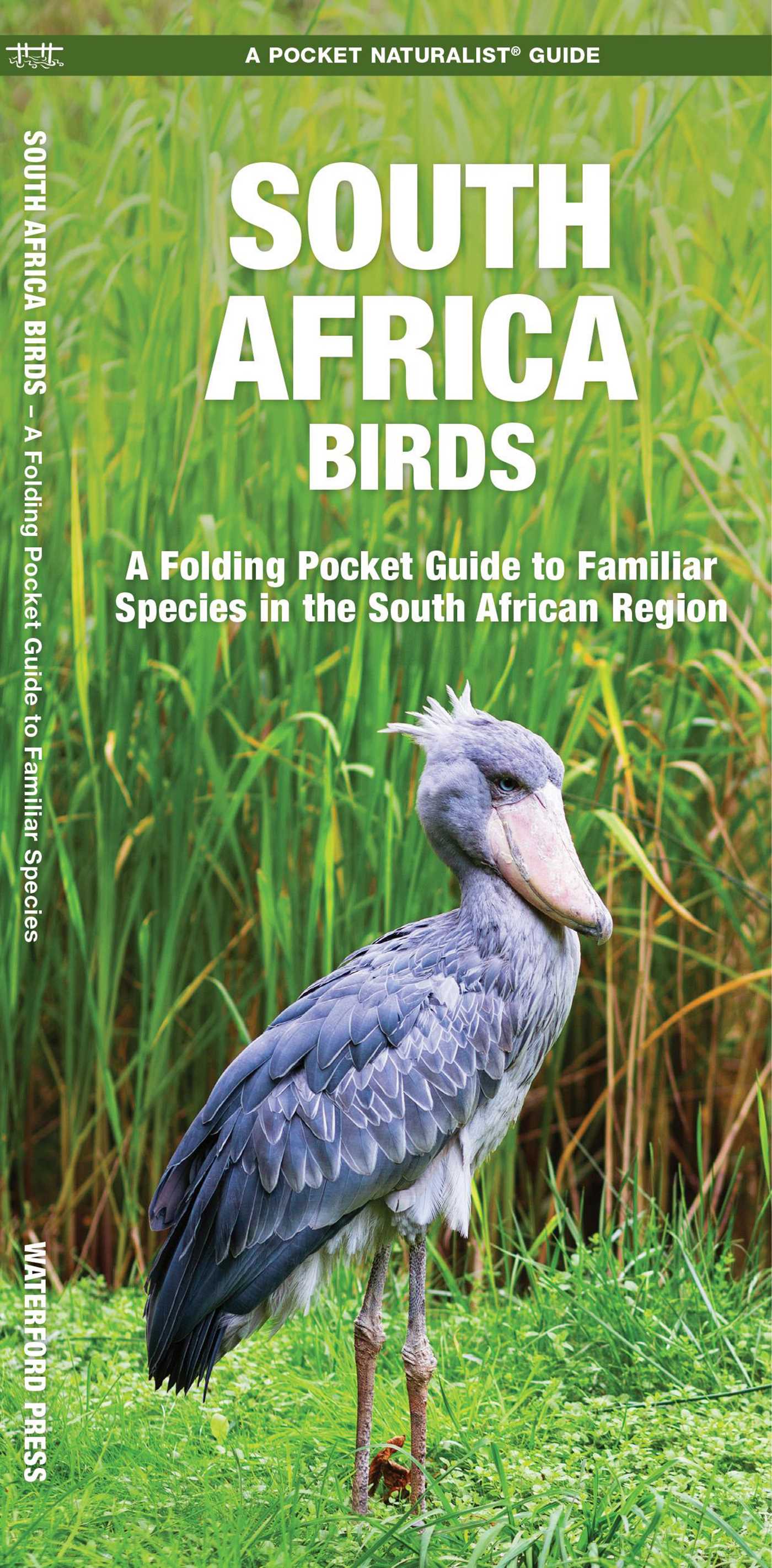South Africa Birds