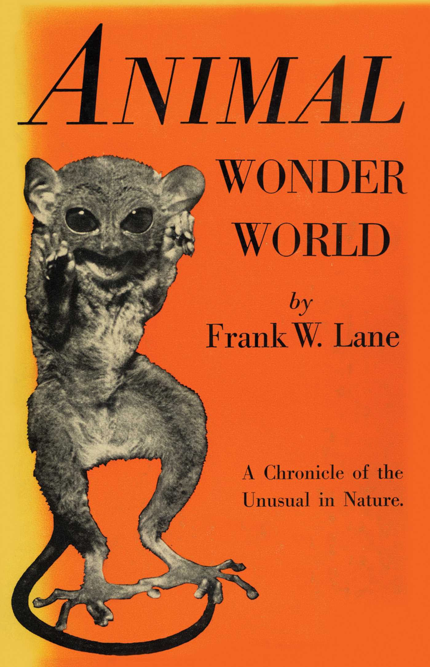 Animal Wonder World