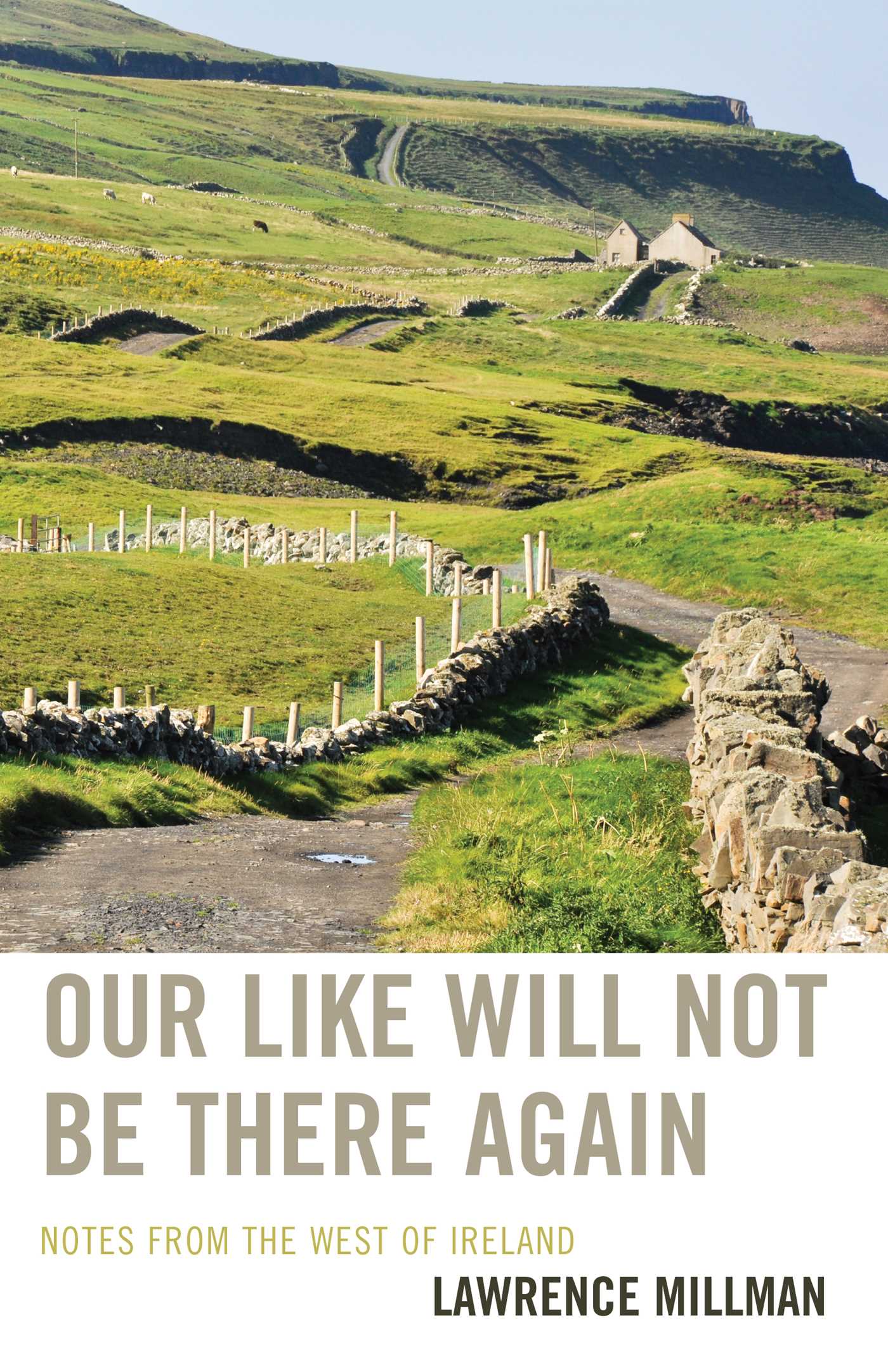 Our Like Will Not Be There Again