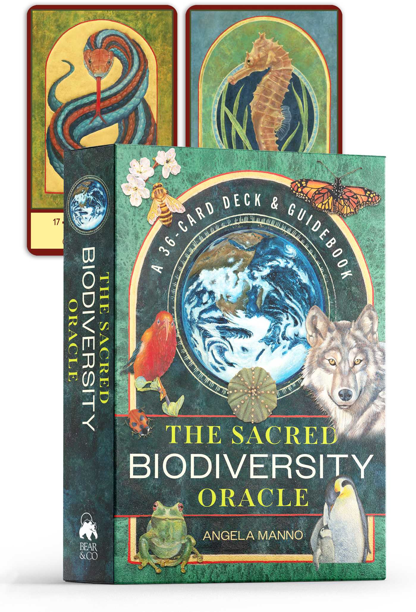 Sacred Biodiversity Oracle: A 36-Card Deck and Guidebook