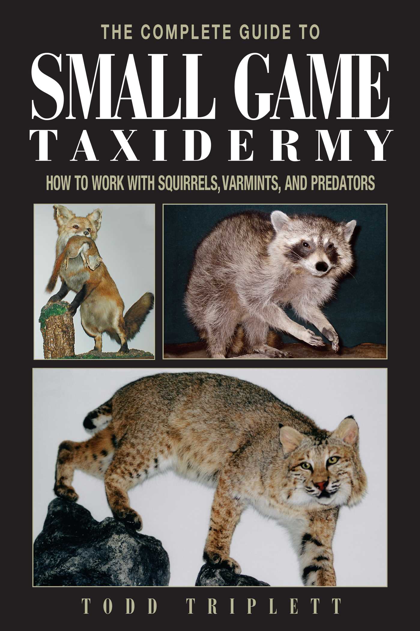 Complete Guide to Small Game Taxidermy