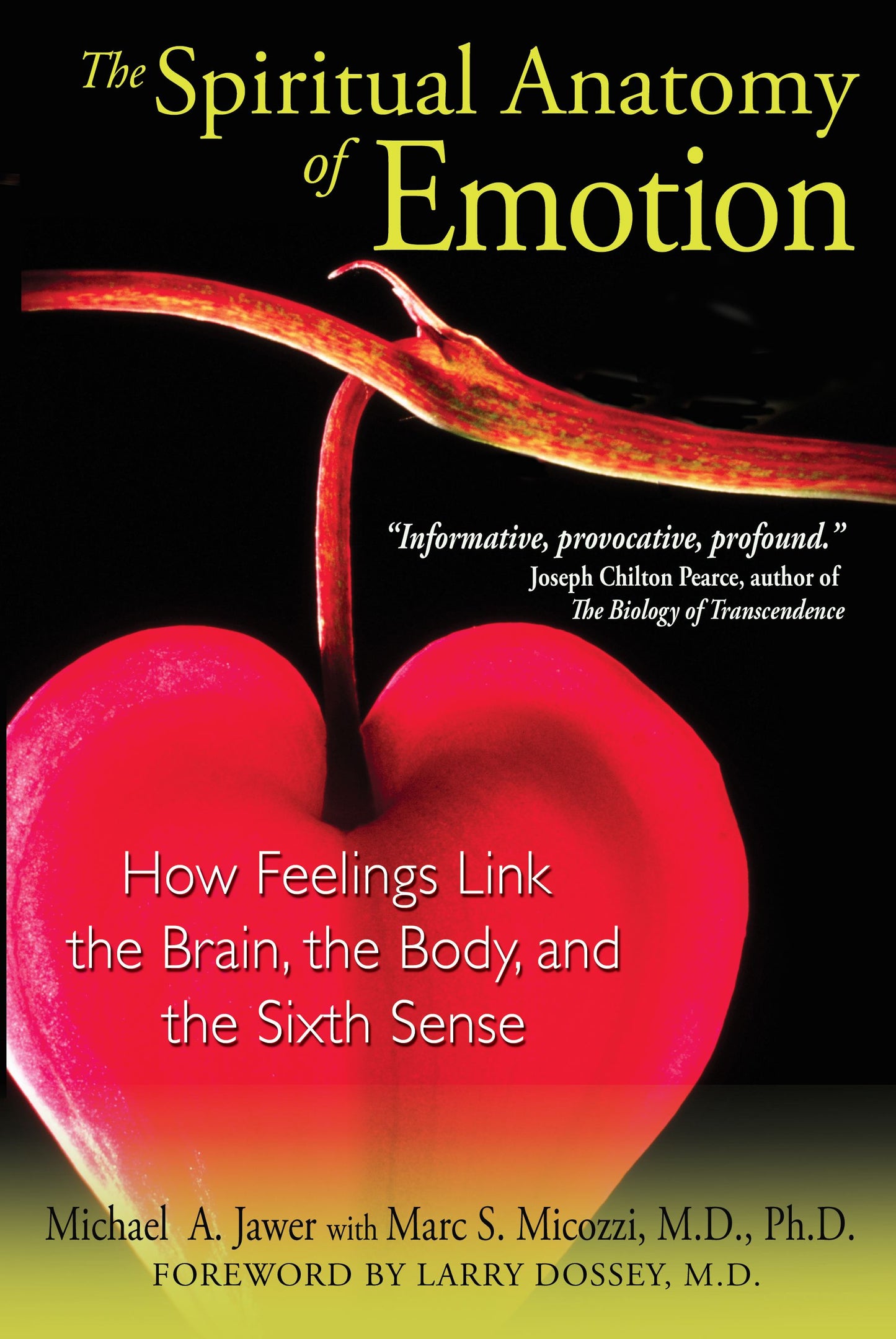 Spiritual Anatomy of Emotion: How Feelings Link the Brain, the Body, and the Sixth Sense