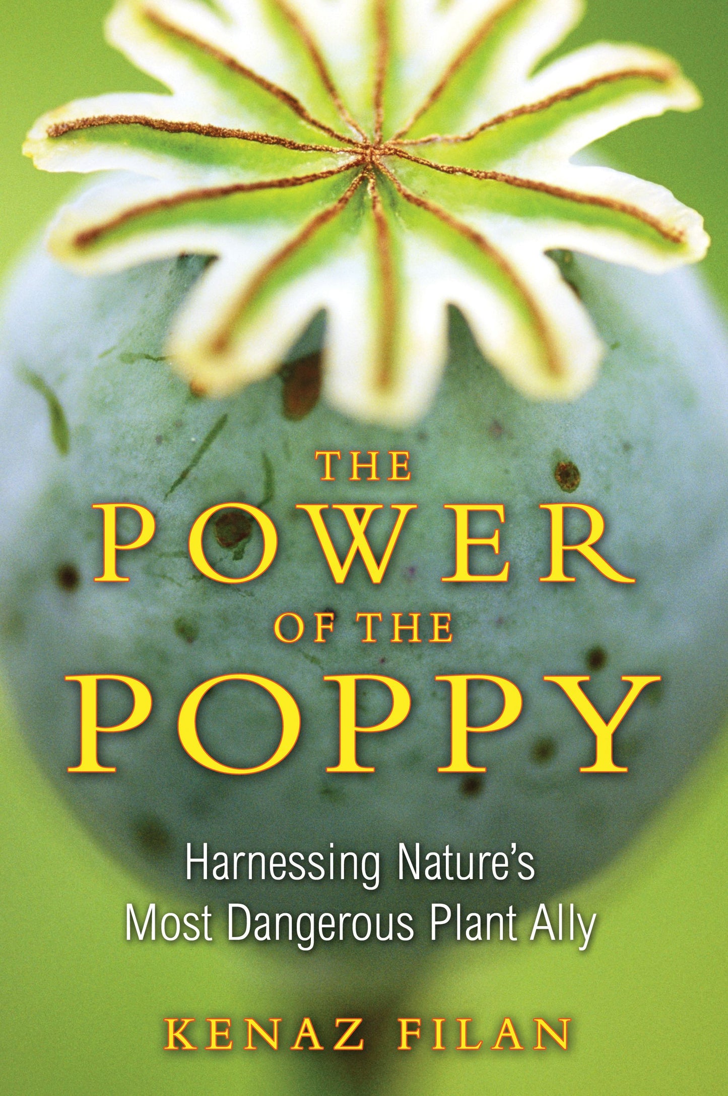 Power of the Poppy: Harnessing Nature's Most Dangerous Plant Ally