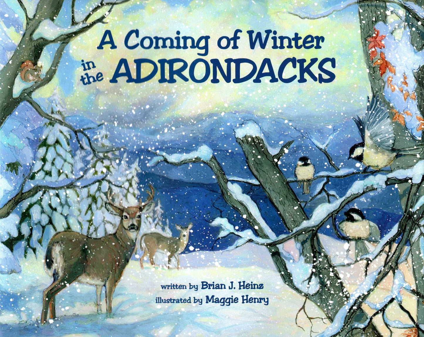 Coming Of Winter In The Adirondacks