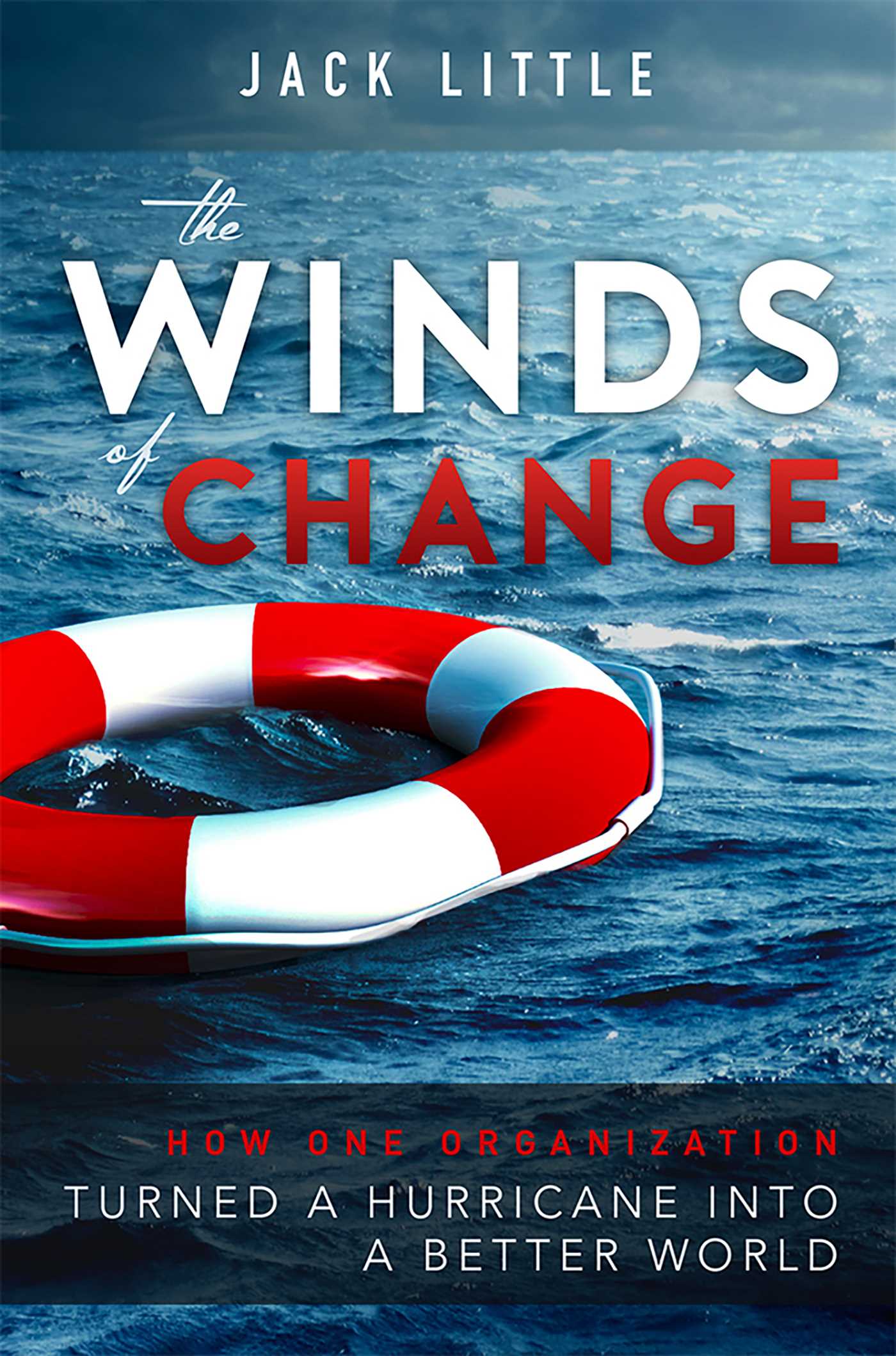 Winds of Change: How One Organization Turned A Hurricane Into A Better World