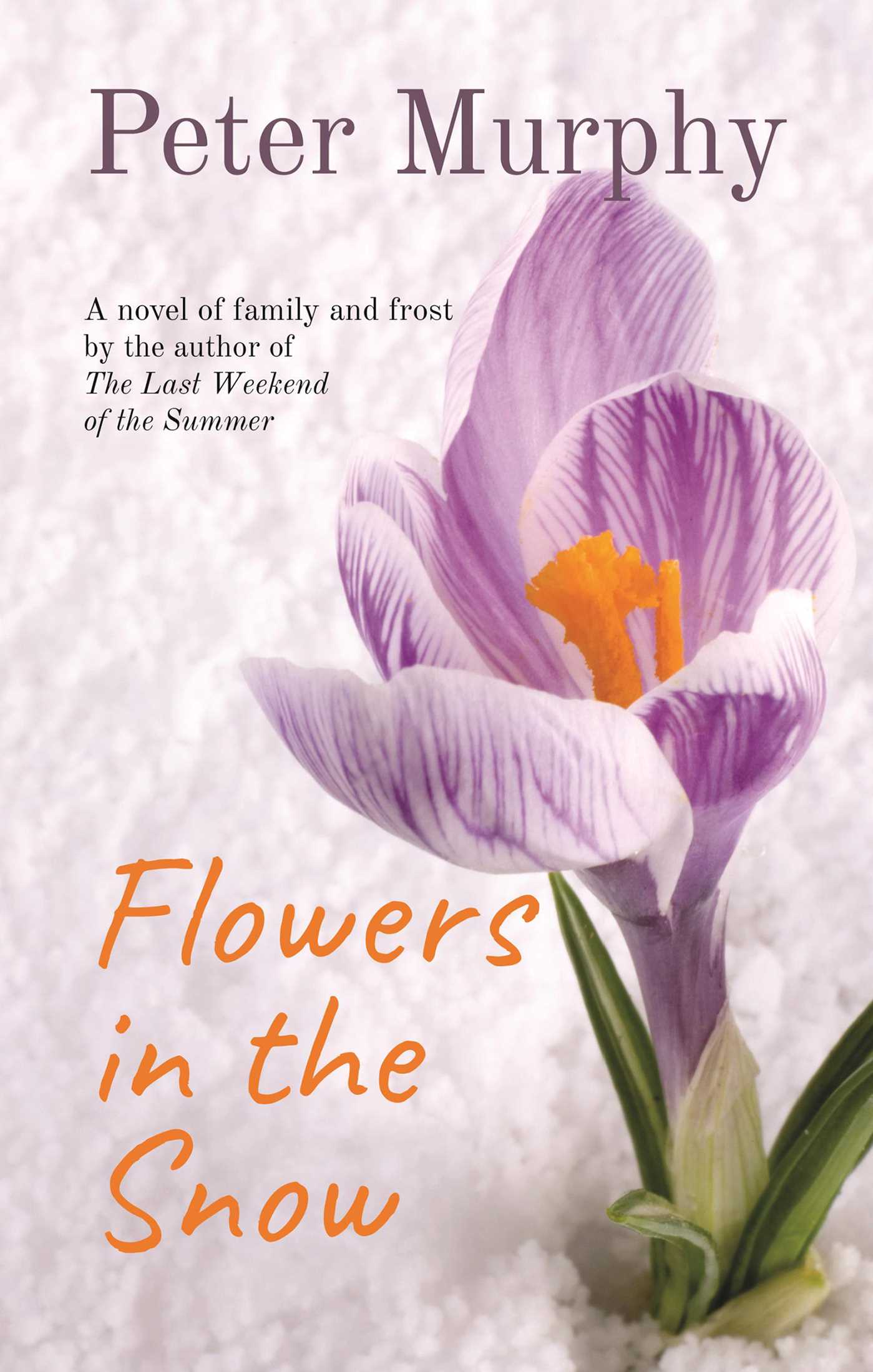 Flowers in the Snow
