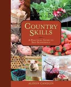Country Skills