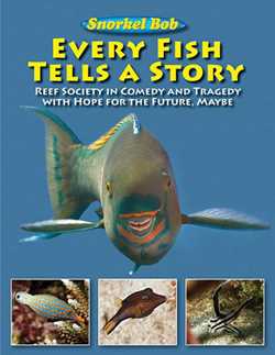 Every Fish Tells a Story