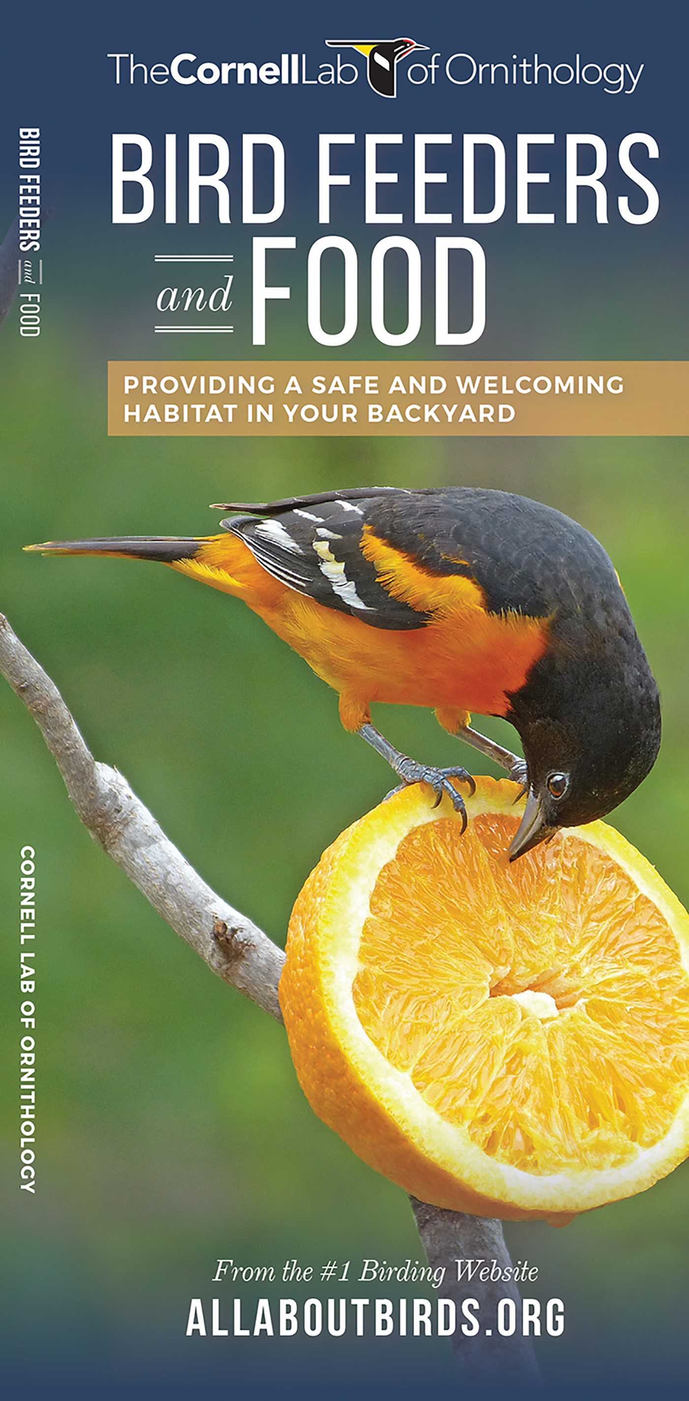 Bird Feeders and Food