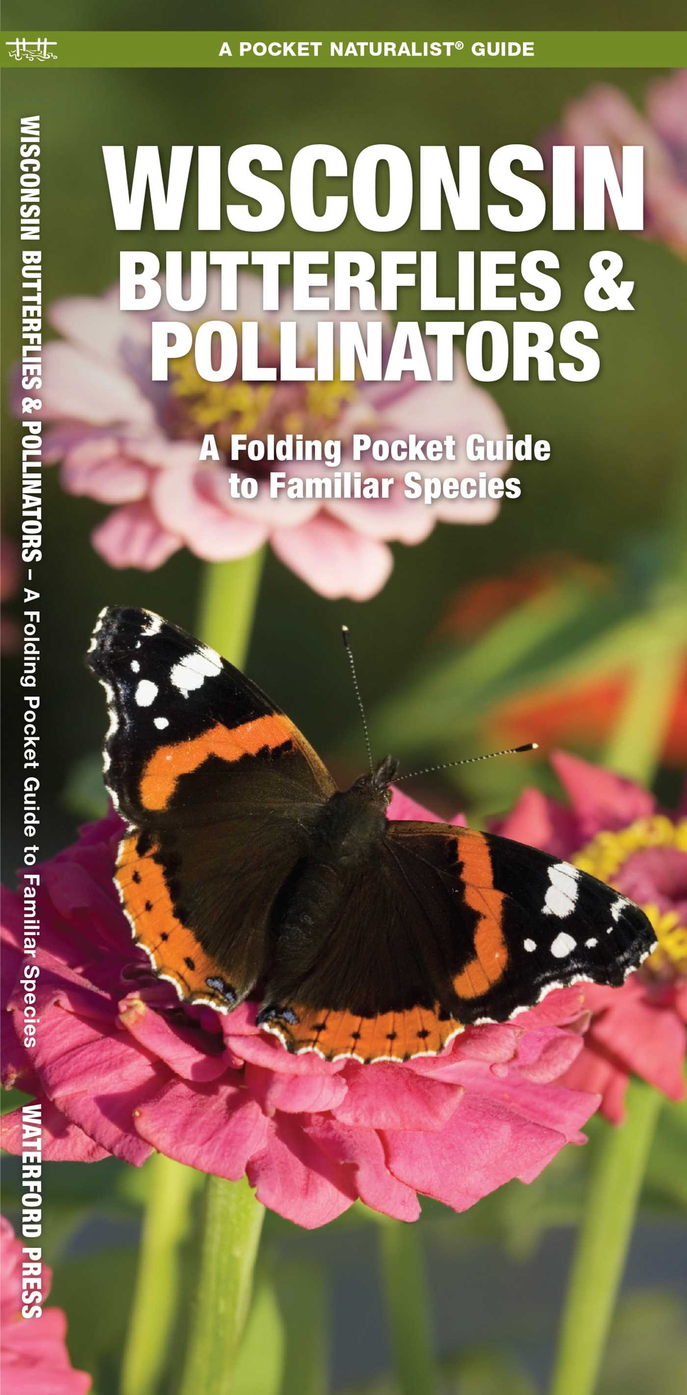 Wisconsin Butterflies & Pollinators