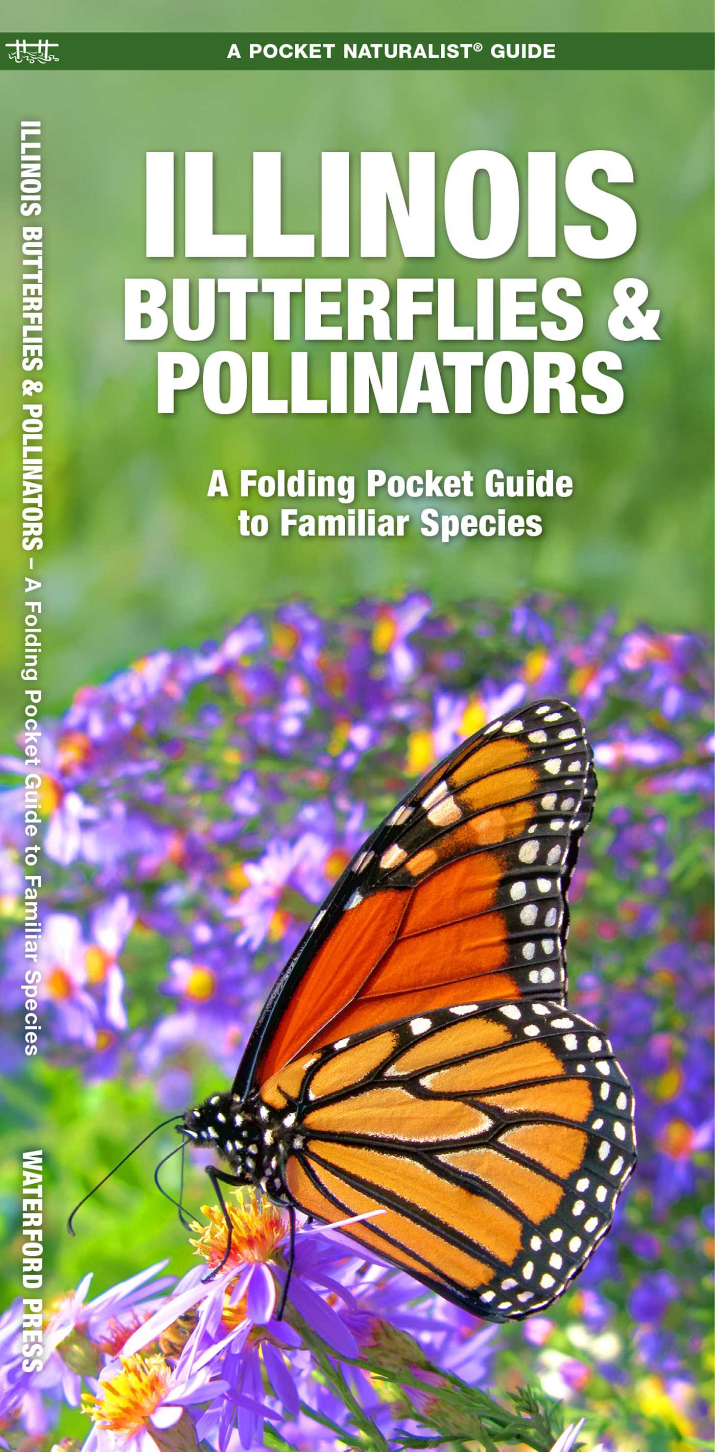 Illinois Butterflies & Pollinators