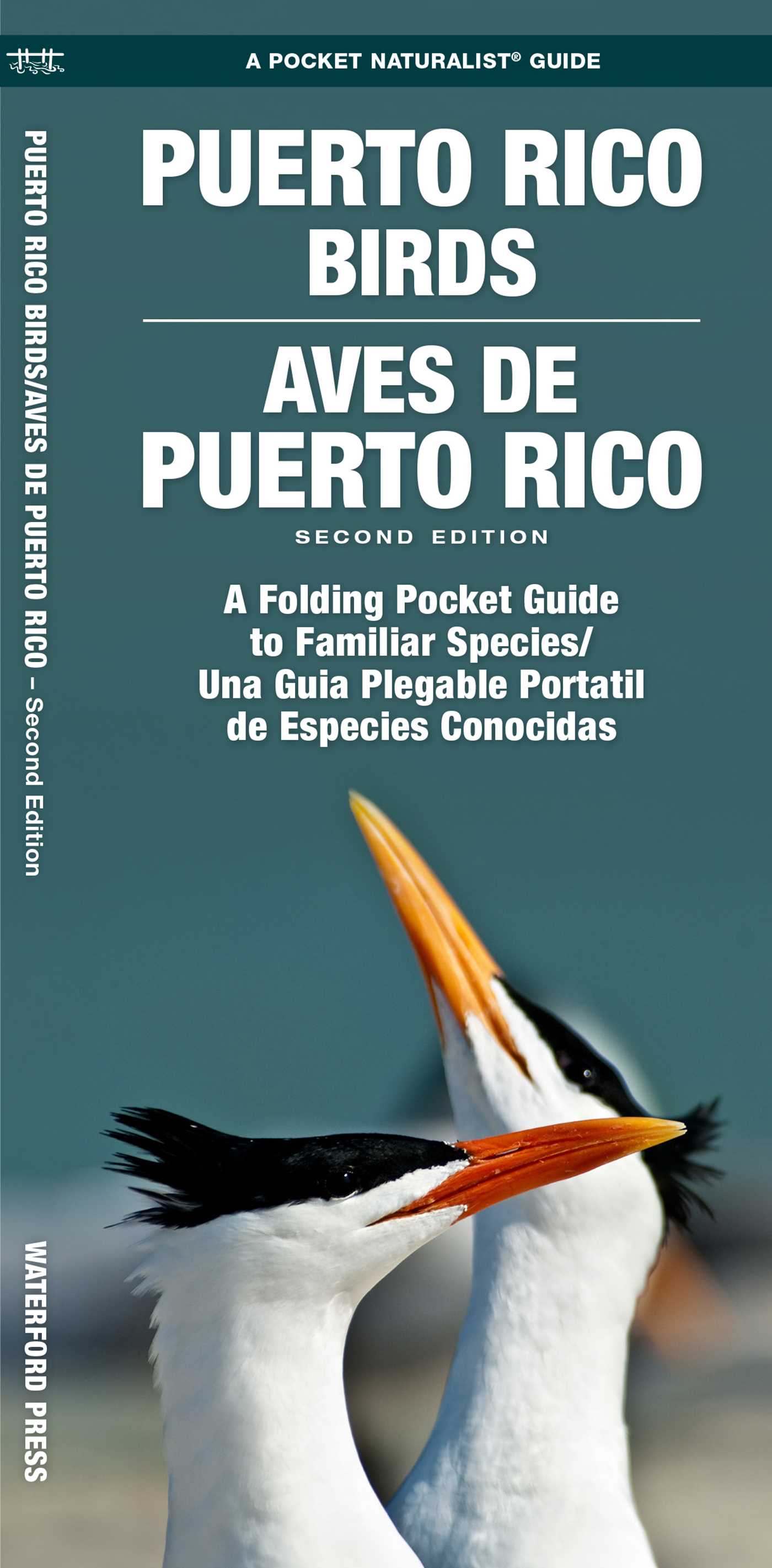 Puerto Rico Birds/Aves de Puerto Rico, 2nd Ed