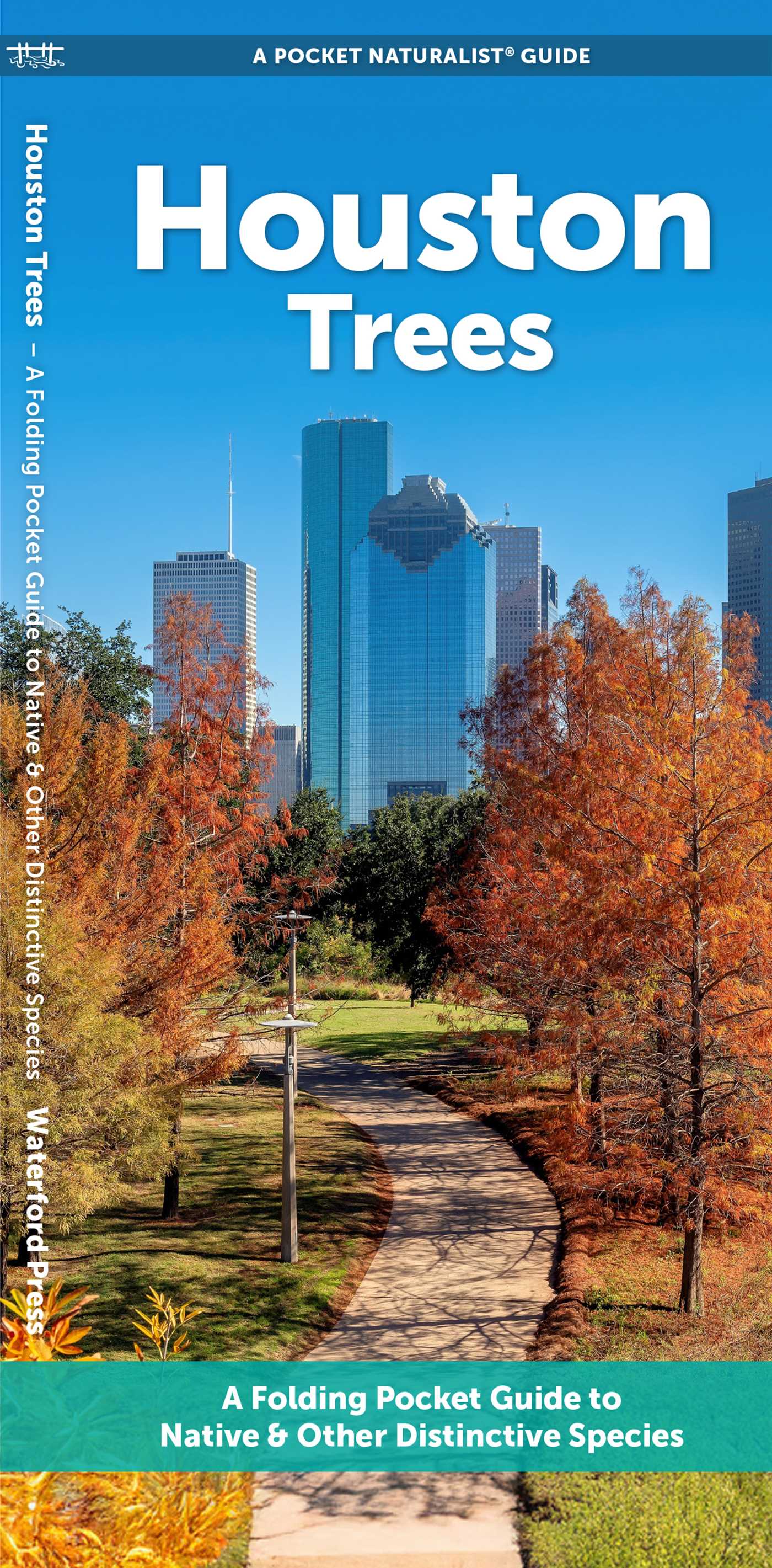 Houston Trees