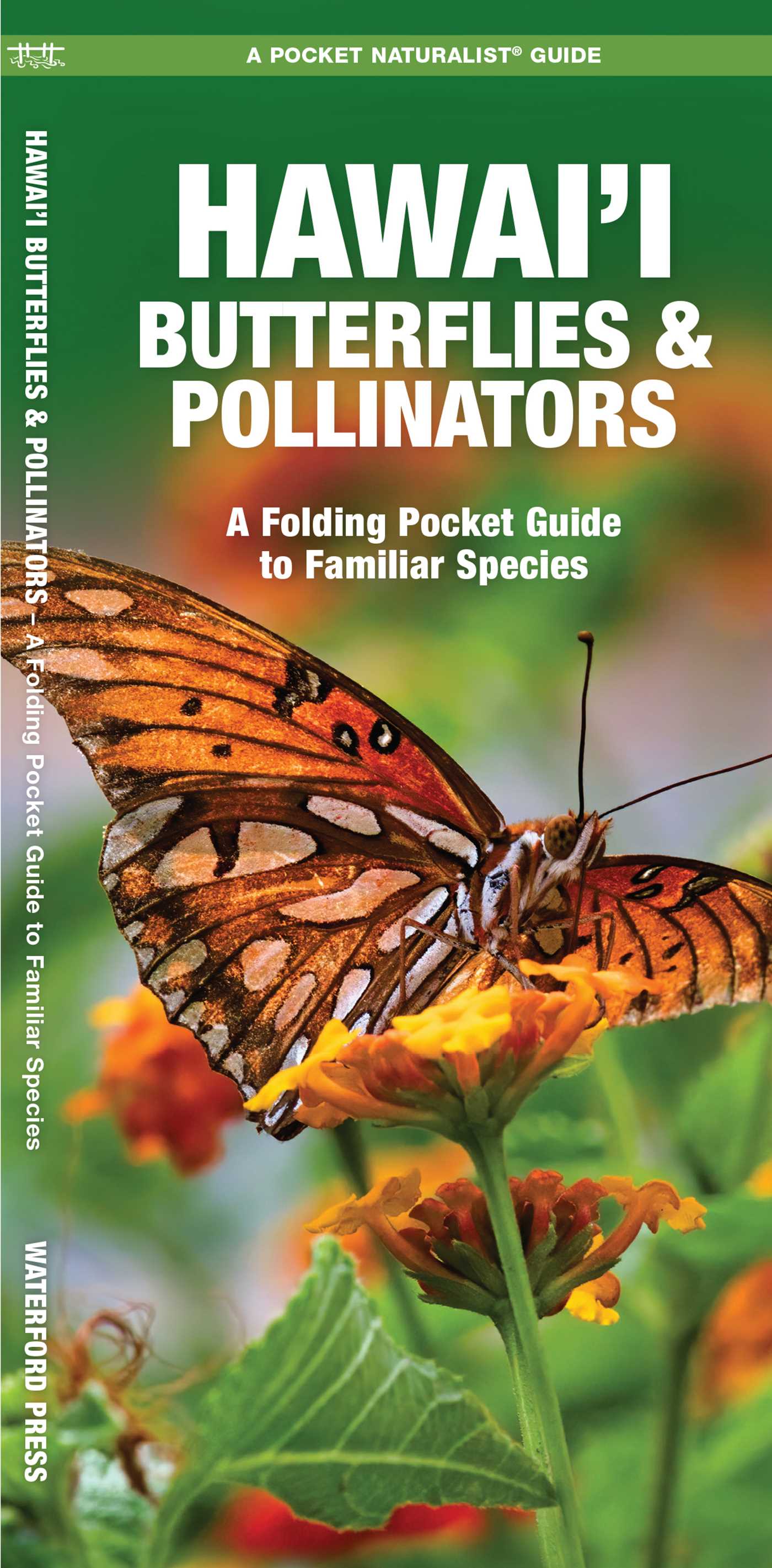 Hawai'i Butterflies & Pollinators, 2nd Ed