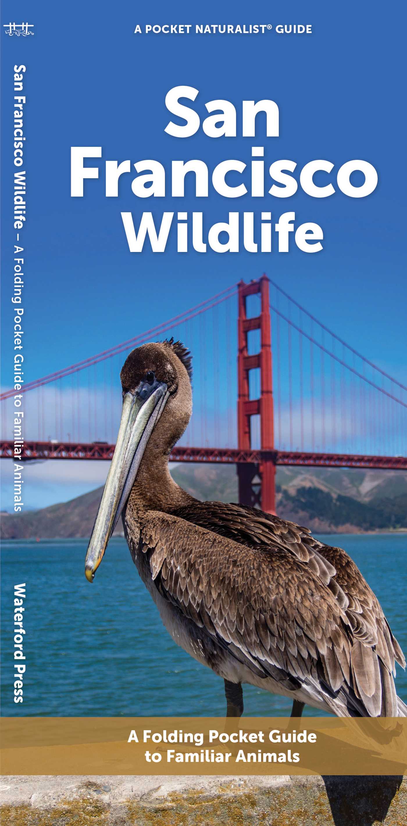 San Francisco Wildlife