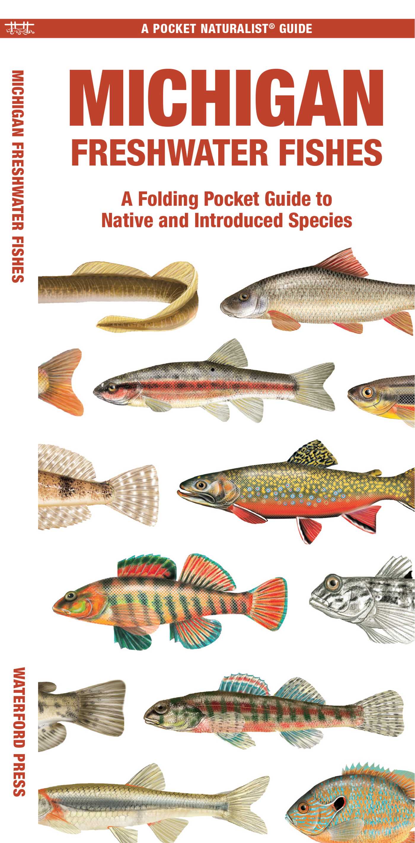 Michigan Freshwater Fishes
