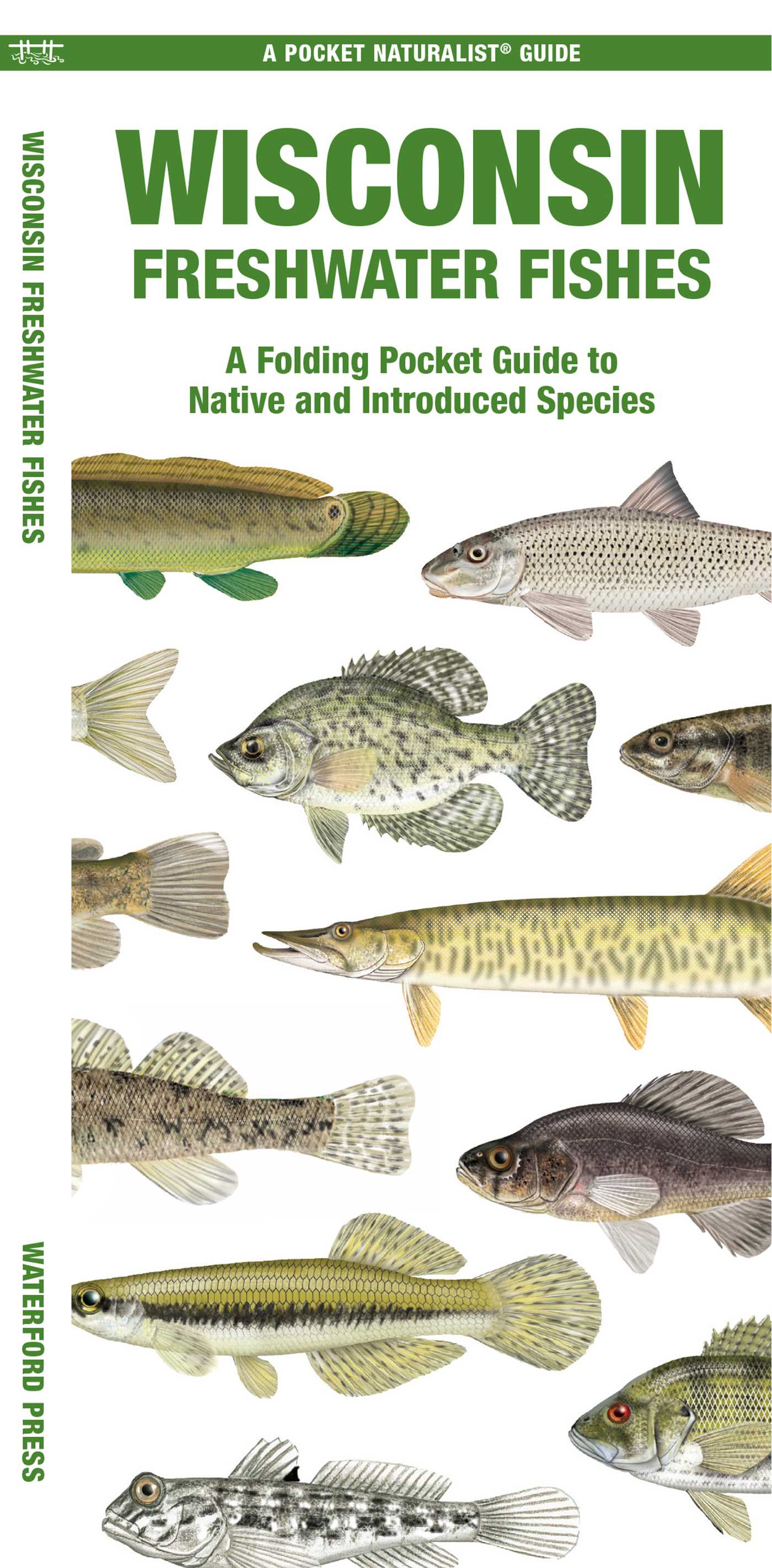 Wisconsin Freshwater Fishes