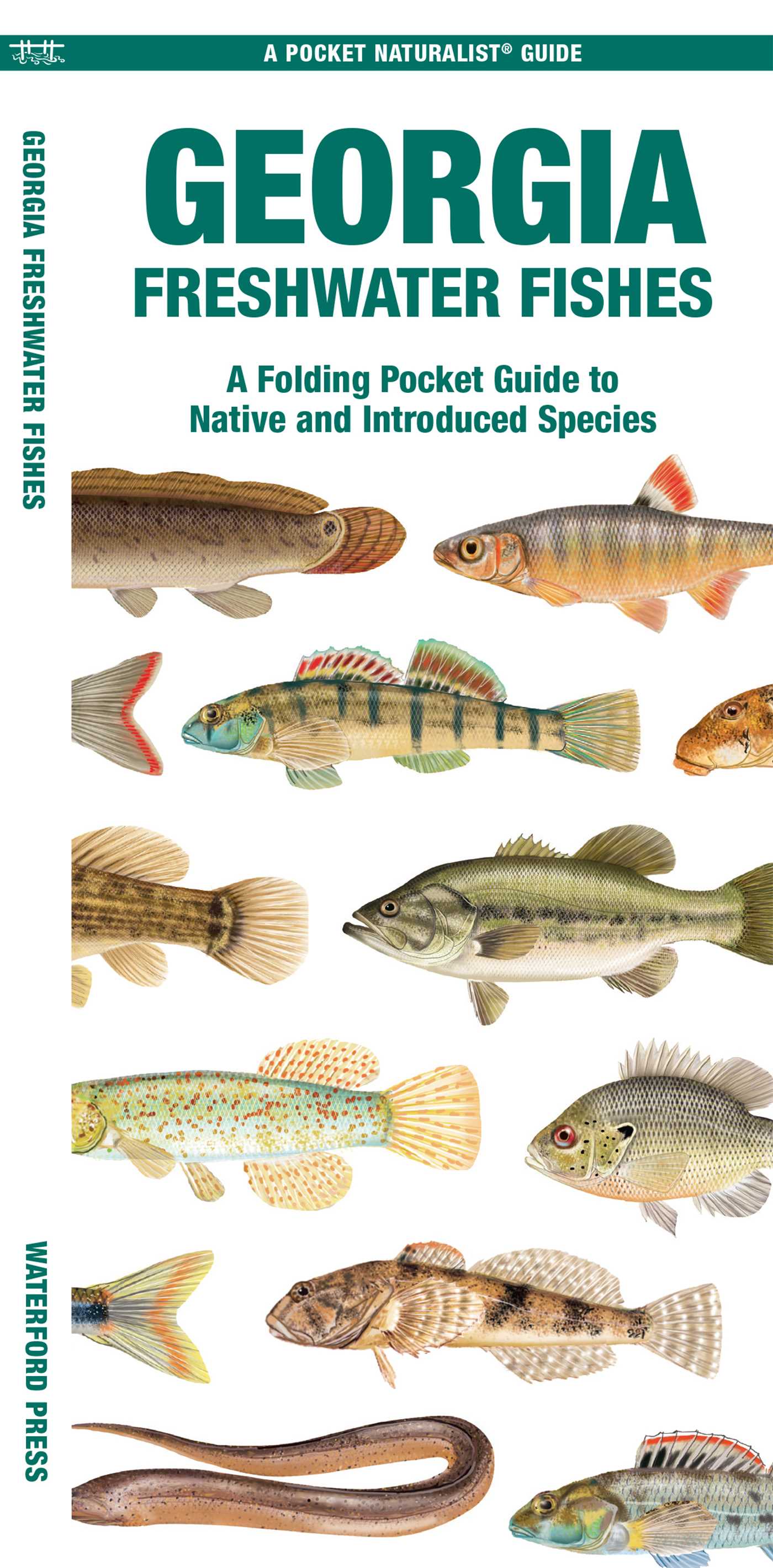 Georgia Freshwater Fishes