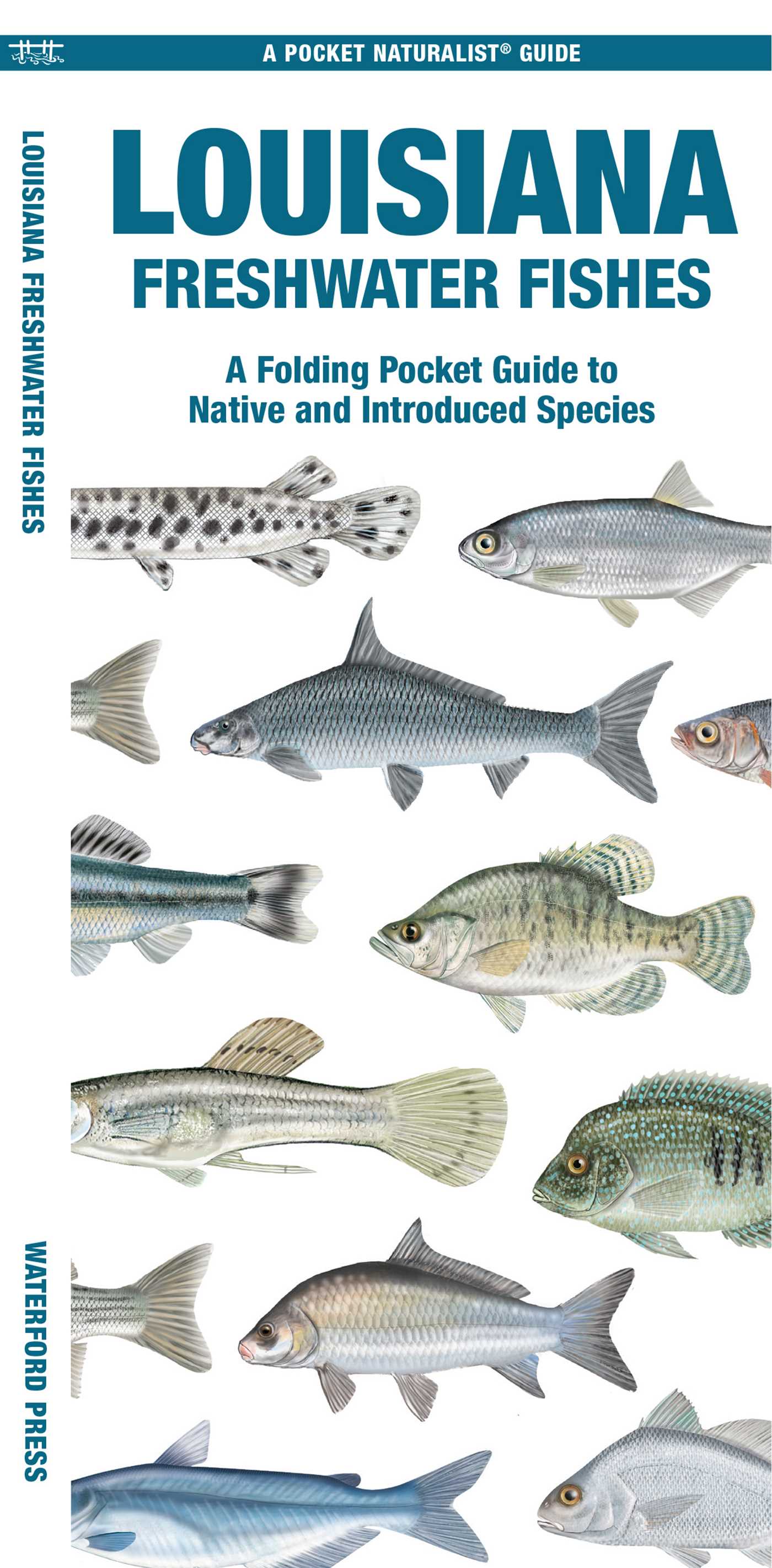 Louisiana Freshwater Fishes