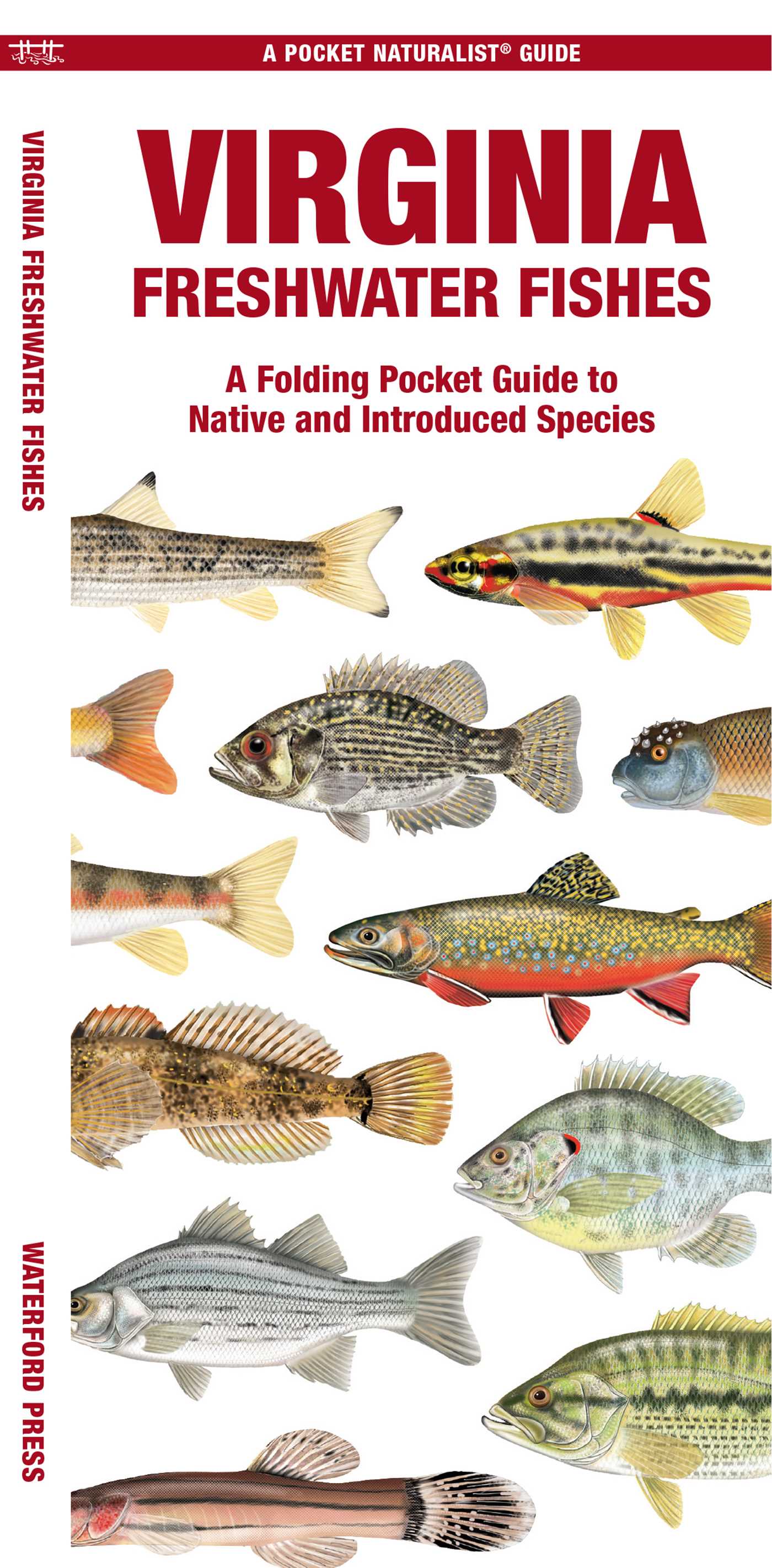 Virginia Freshwater Fishes