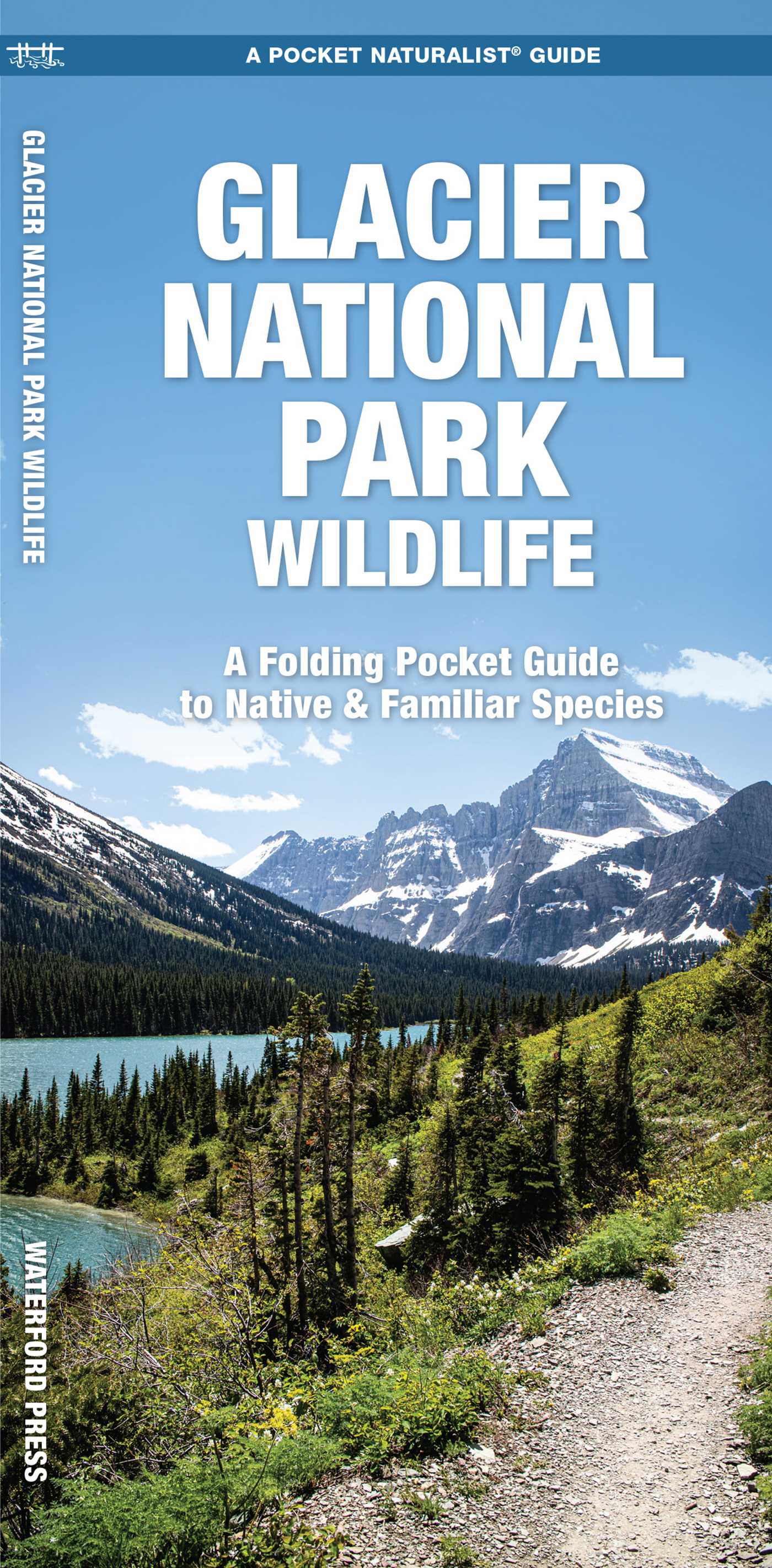 Glacier National Park Wildlife