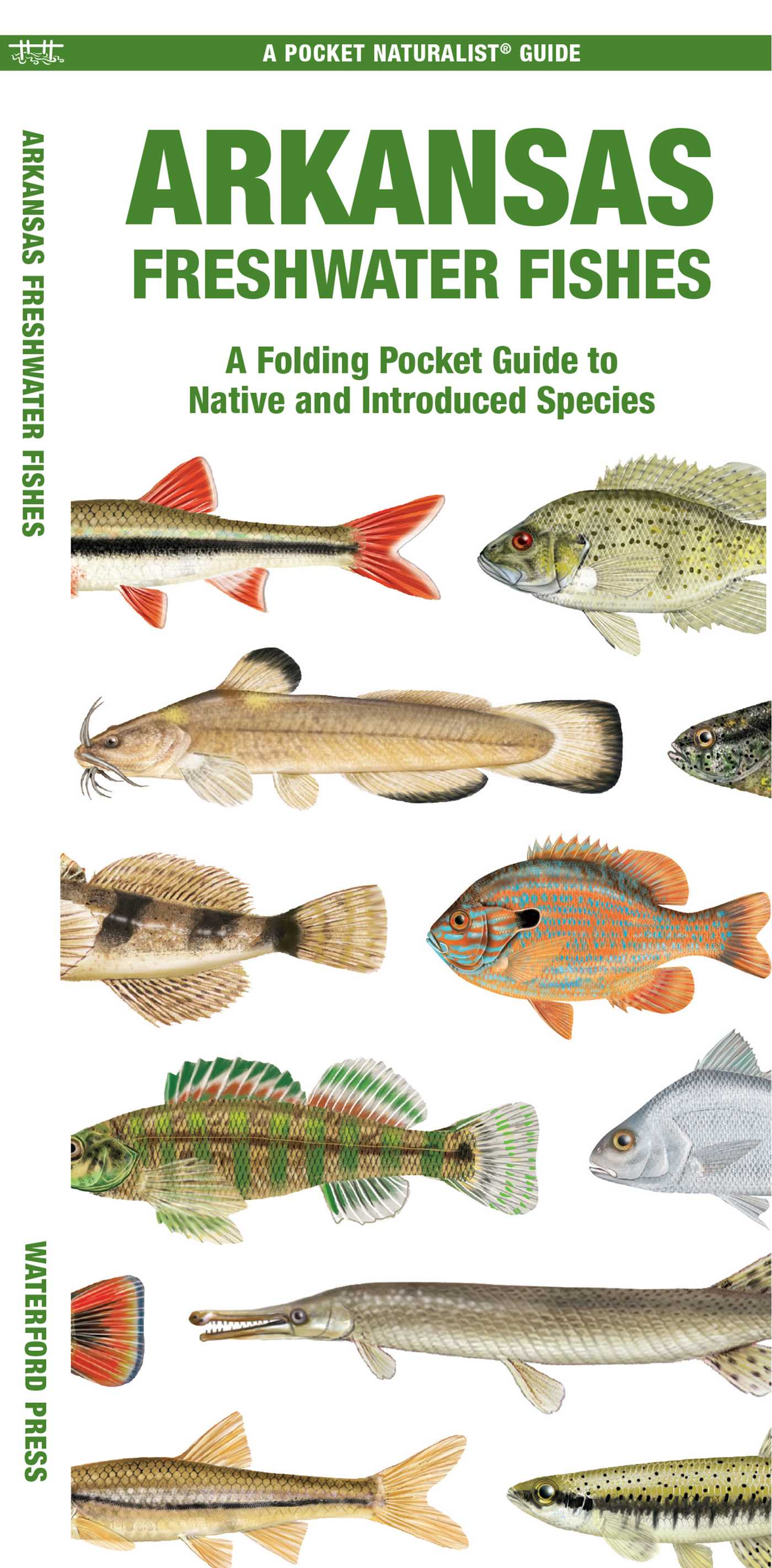 Arkansas Freshwater Fishes