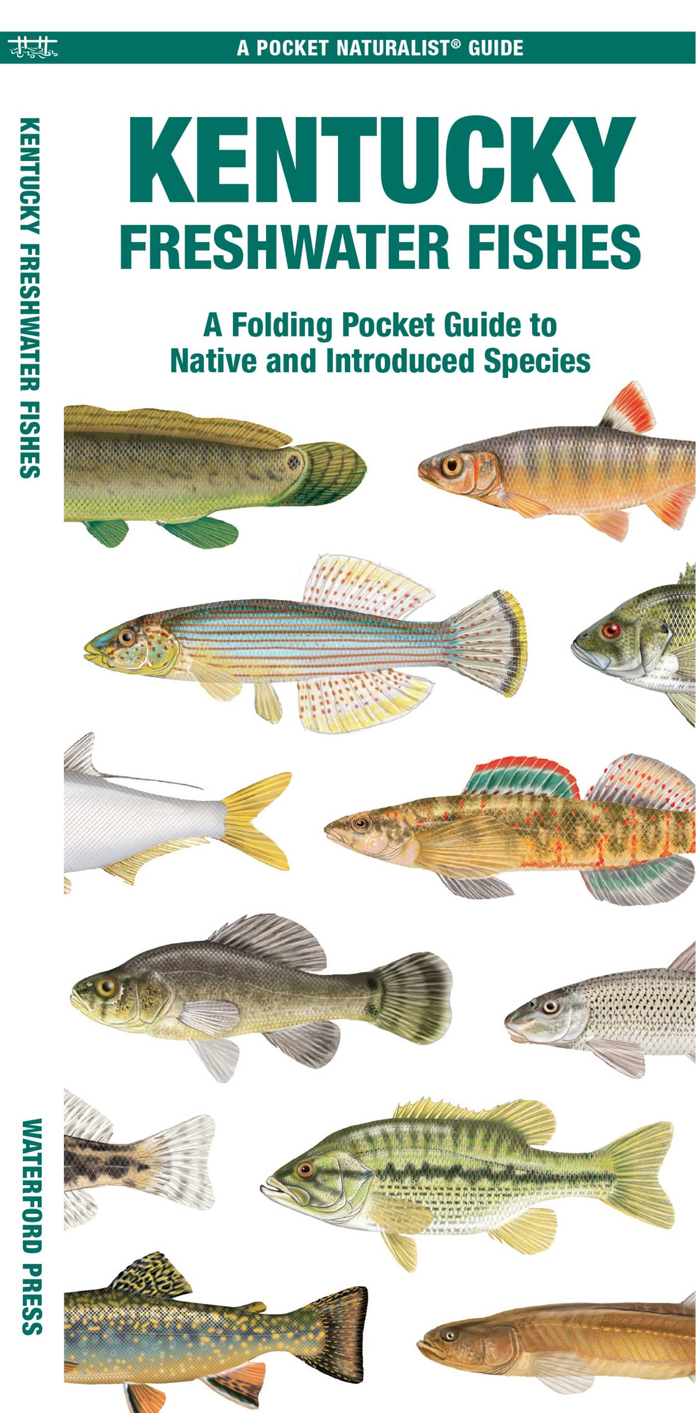 Kentucky Freshwater Fishes